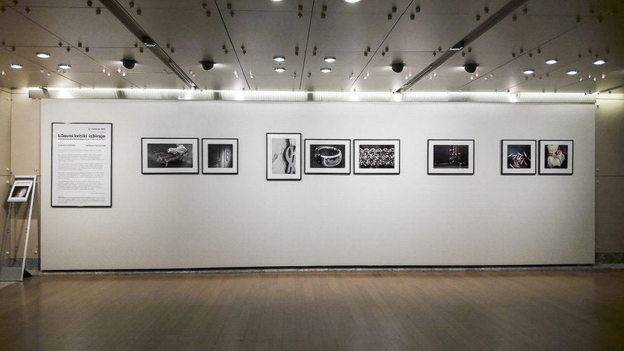 Dreams and Promises, Art Critic's Choice in cooperation with Slovenian Association of Art Critics, Cankarjev dom, Ljubljana, 2017