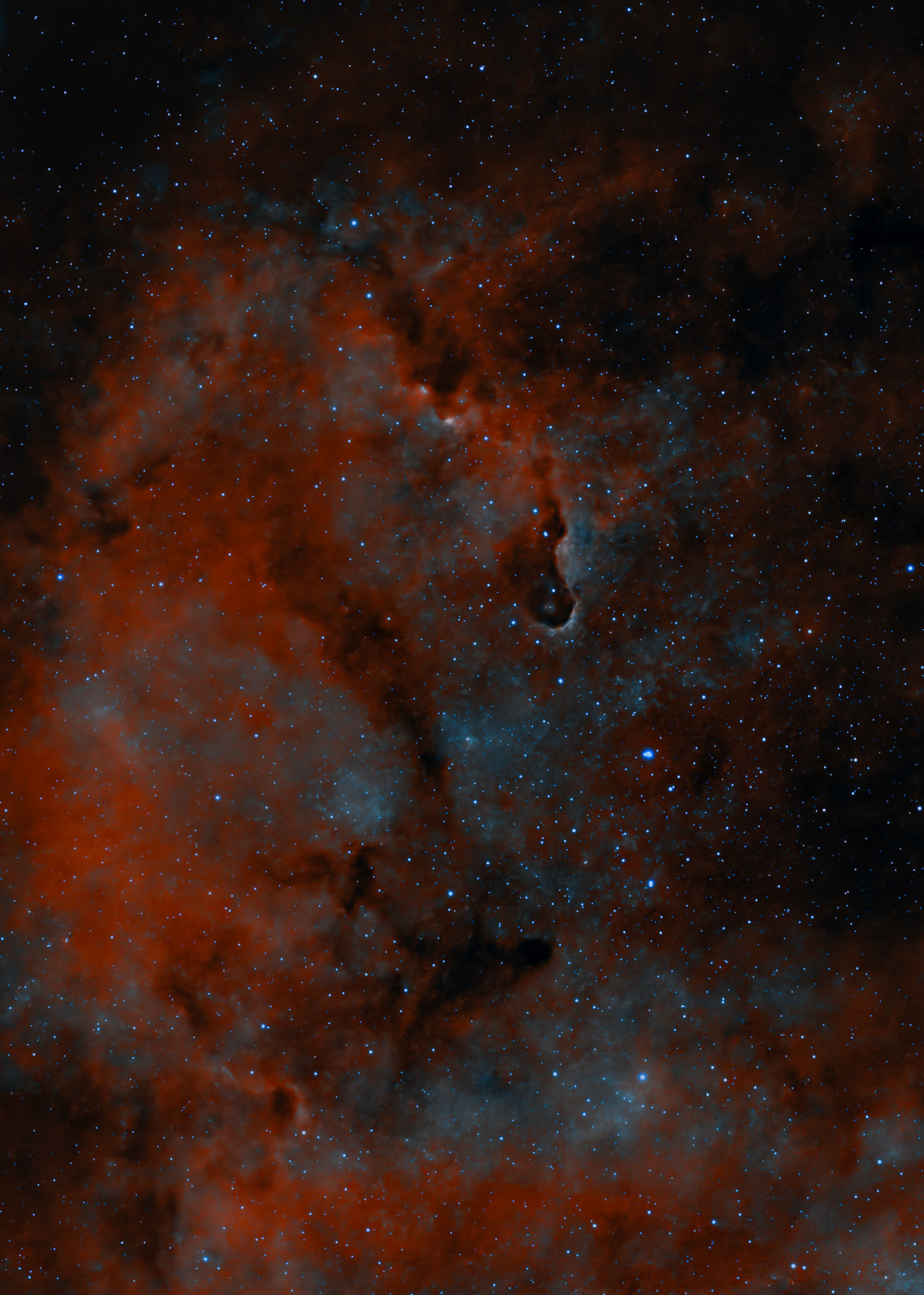 Elephants Trunk Nebula IC1396