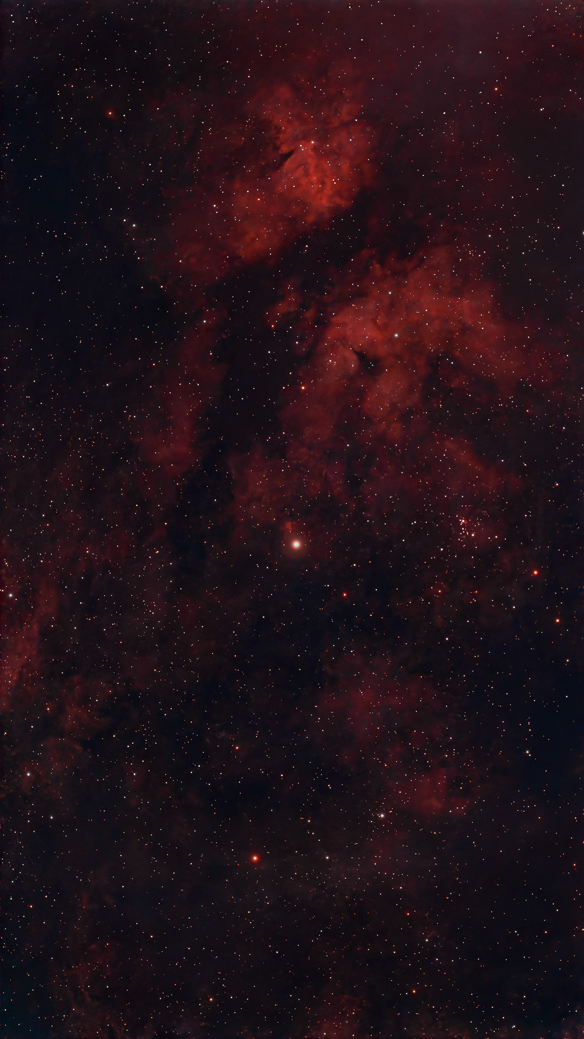 Butterfly Nebula