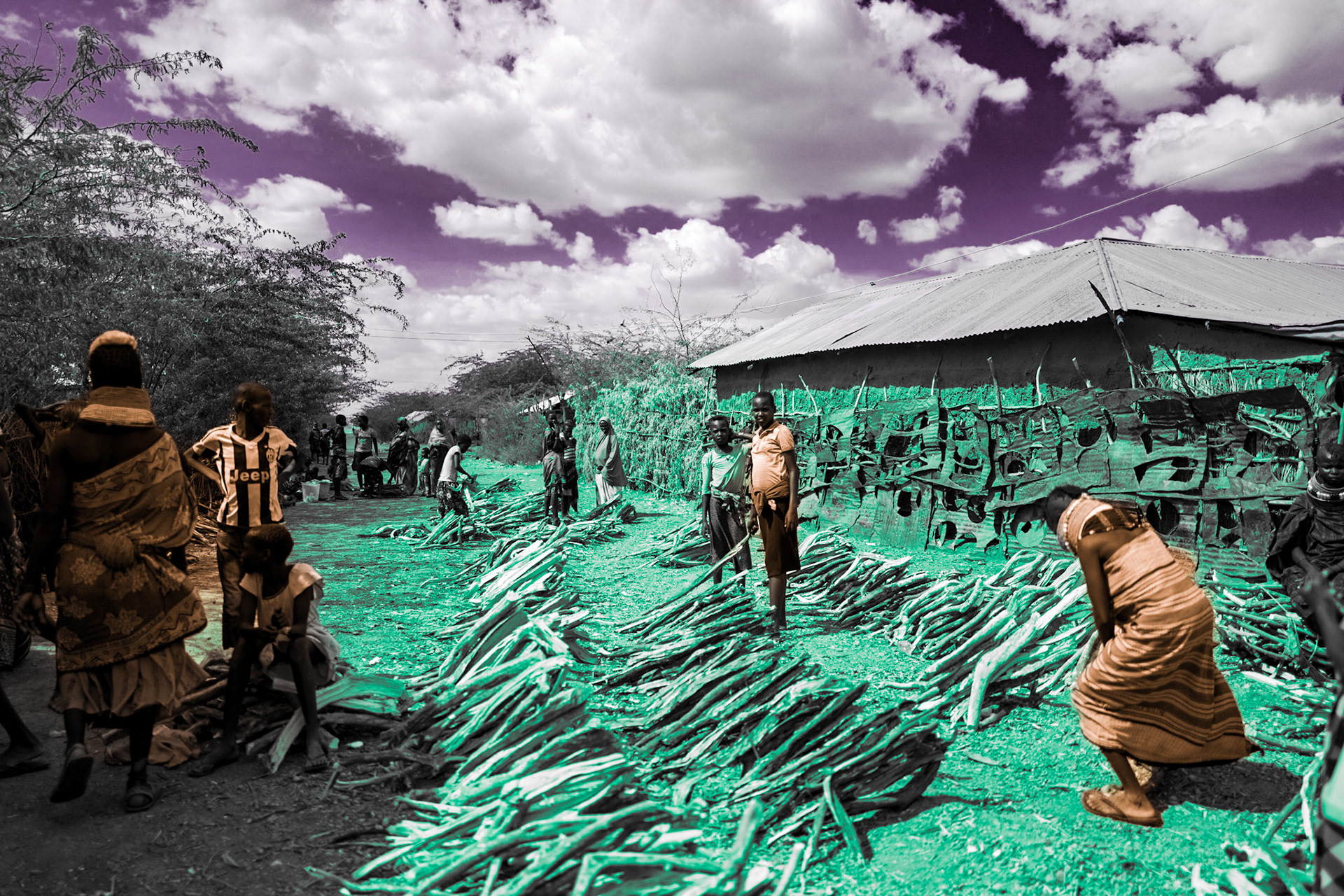 Turkana people are selling firewood in Kakuma refugee camp. While the camp provides economic opportunities for the local Turkana community, the increasing population has also put pressure on the already arid land.