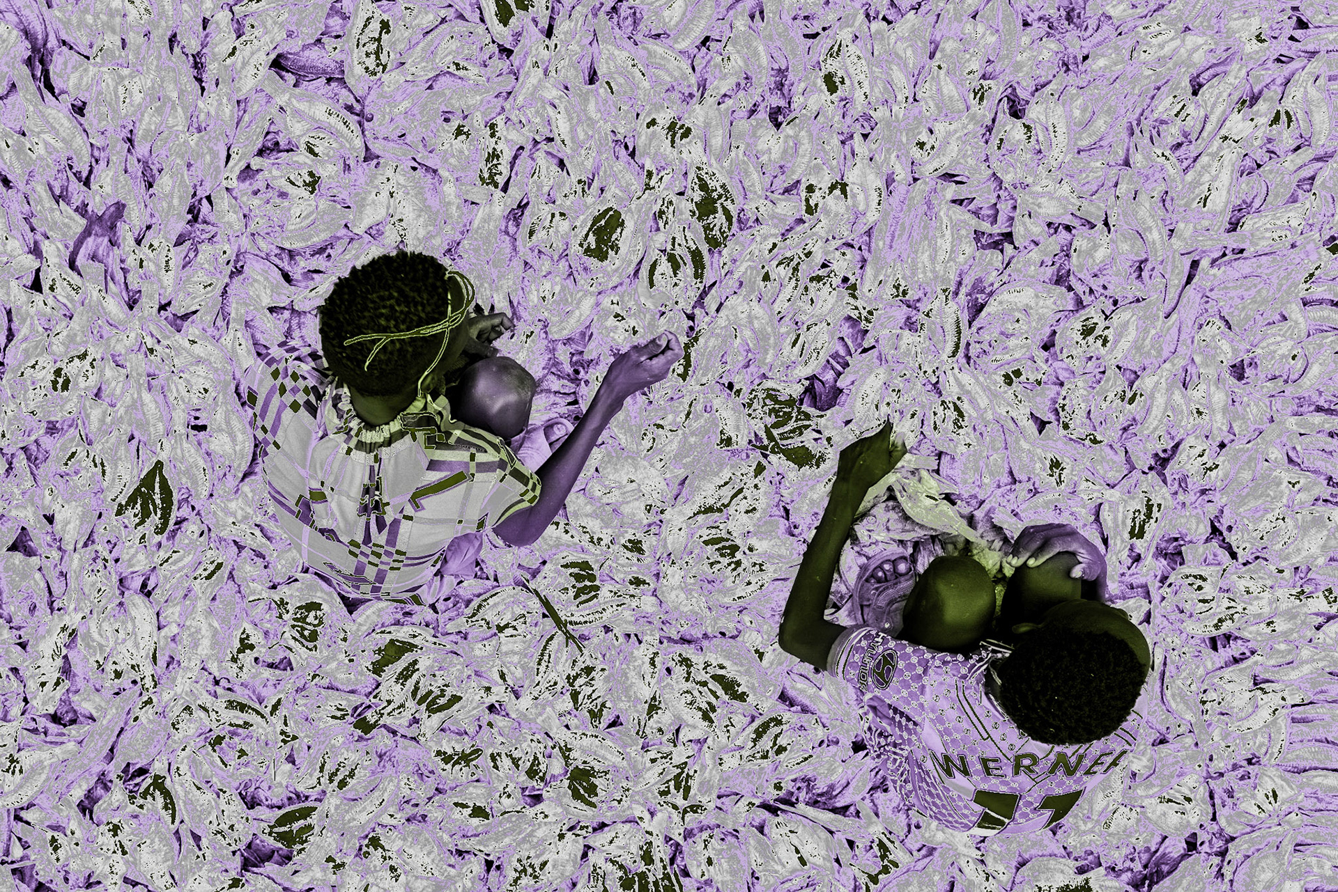 In Selicho, two Daasanach boys are working on a truck filled with dried fish. They are employed by Somali businessmen. The process of filling a truck with fish takes three days. The fishermen sell the fish for 30 Kenyan shillings per piece, but Somali buyers later resell the fish in Busia for 150 Kenyan shillings per piece. A 10-wheel truck can hold around 100,000 fish, weighing more than 20 tons.