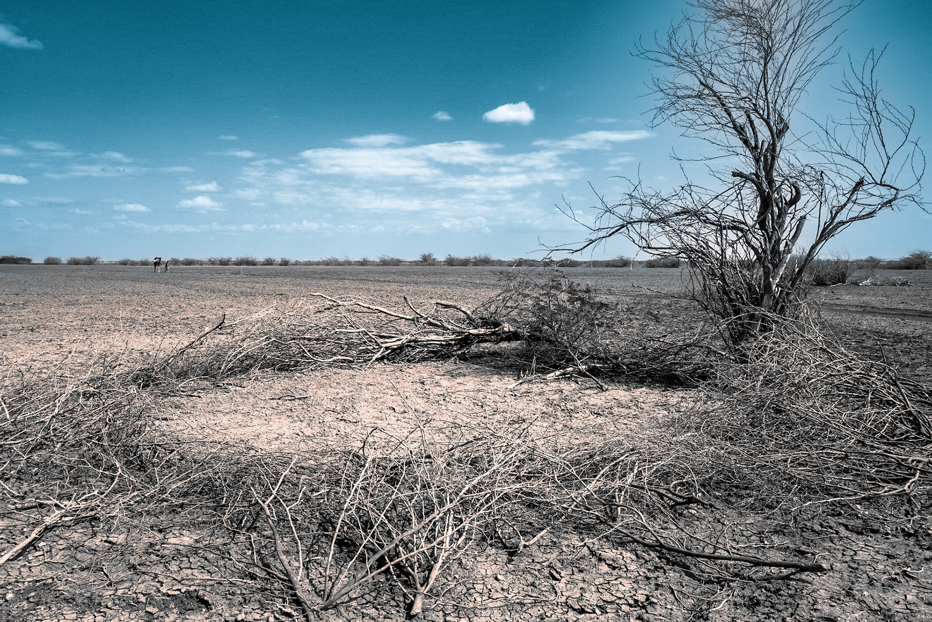 A deserted settlement in North Horr, previously inhabited by pastoralist communities.