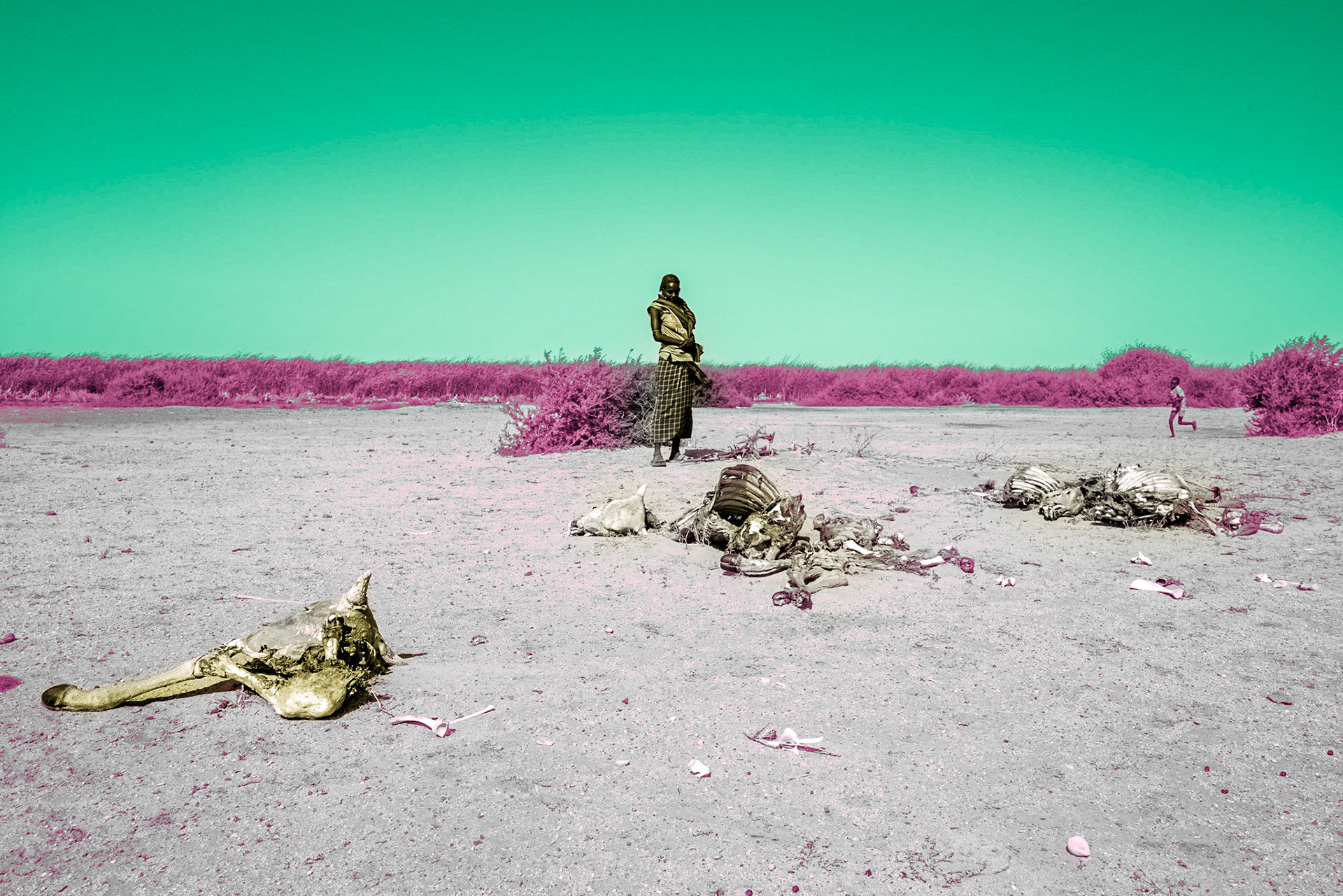 A woman from the Daasanach community stands near a group of deceased cows at the northern tip of Lake Turkana. Historically, the Daasanach have been pastoralists. Those who have lost their livestock and livelihoods are referred to as the "Dies," or lower class, and now rely on hunting crocodiles and fishing to survive on the lake's shores.