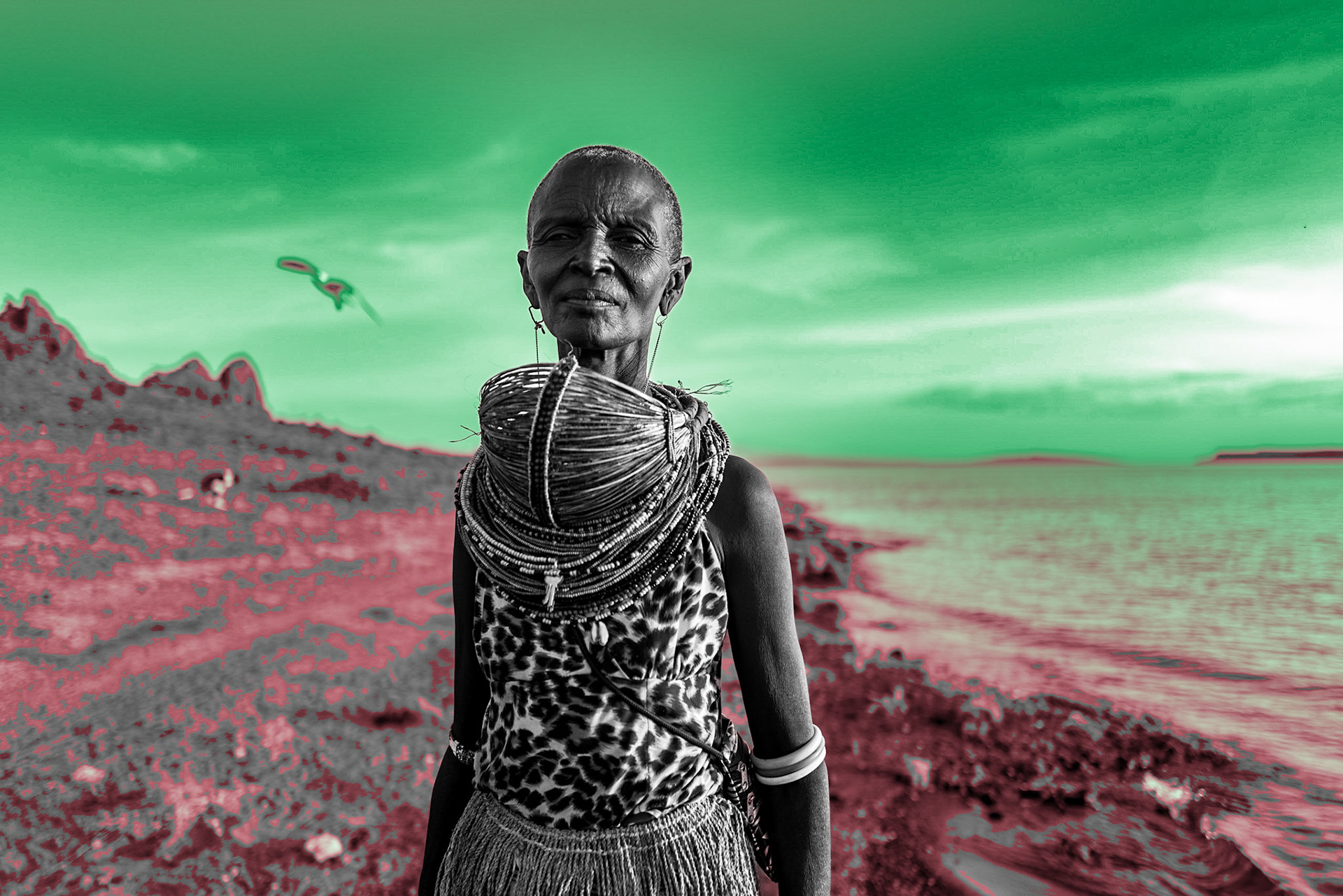 An El Molo woman stands on the shore of Lake Turkana in El Molo Bay. The El Molo are a small indigenous tribe in Kenya, with a population of 1,104 according to the 2019 census. Many El Molo people have forgotten their own language and adopted the traditions of the Samburu. Historically, the El Molo were the only major fishing group in the area, but in recent years, people from pastoralist groups such as the Turkana and Rendille also tarted fishing.