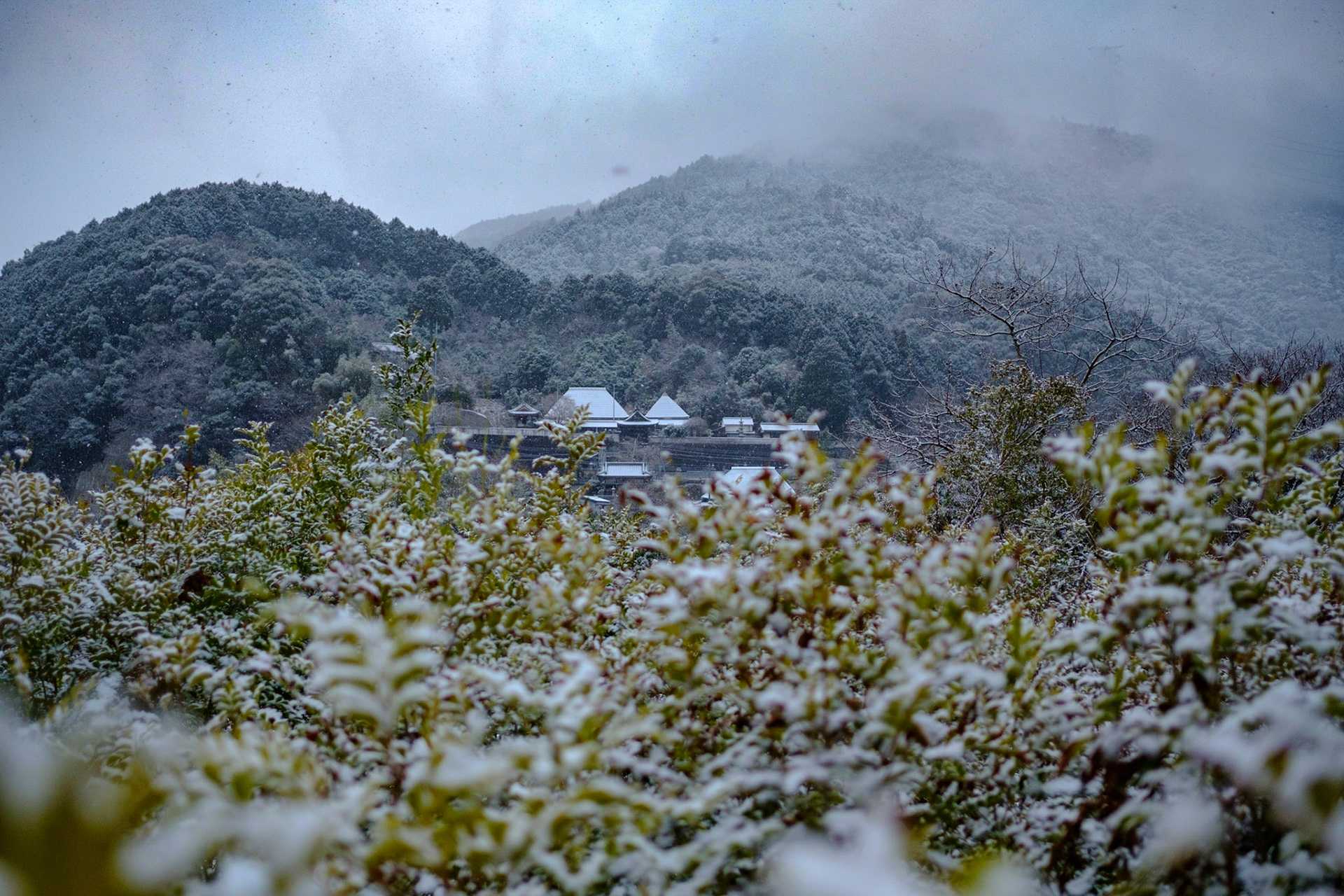 被大雪覆盖的神山町