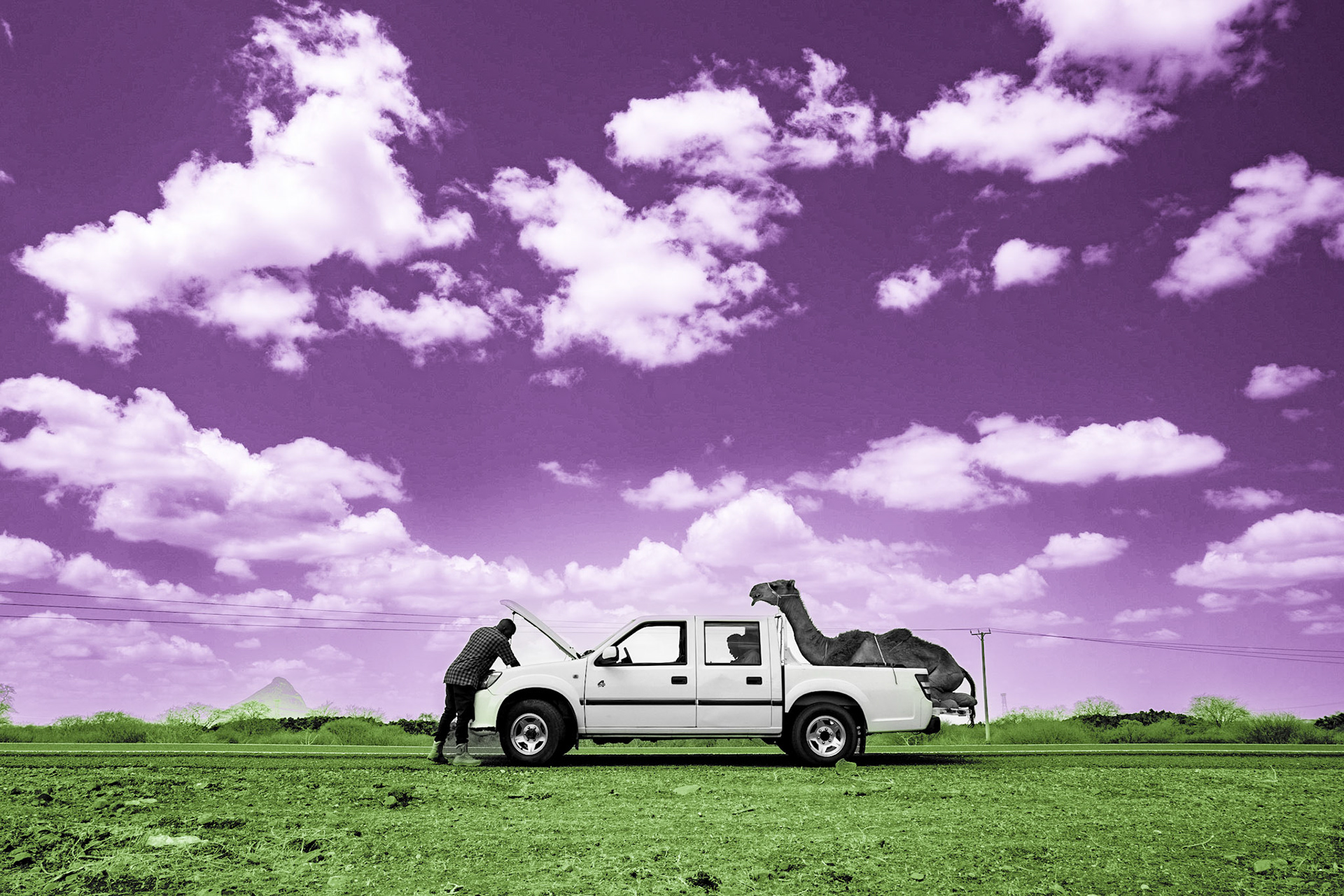A pickup track is carrying an injured camel in Marsabit county. The camel was stolen by 12 armed bandits two days earlier in Karare. Later that day, there was a vehicle attack in the same area which resulted in six deaths and 11 injuries. After being stolen, the camel eventually escaped and returned home.