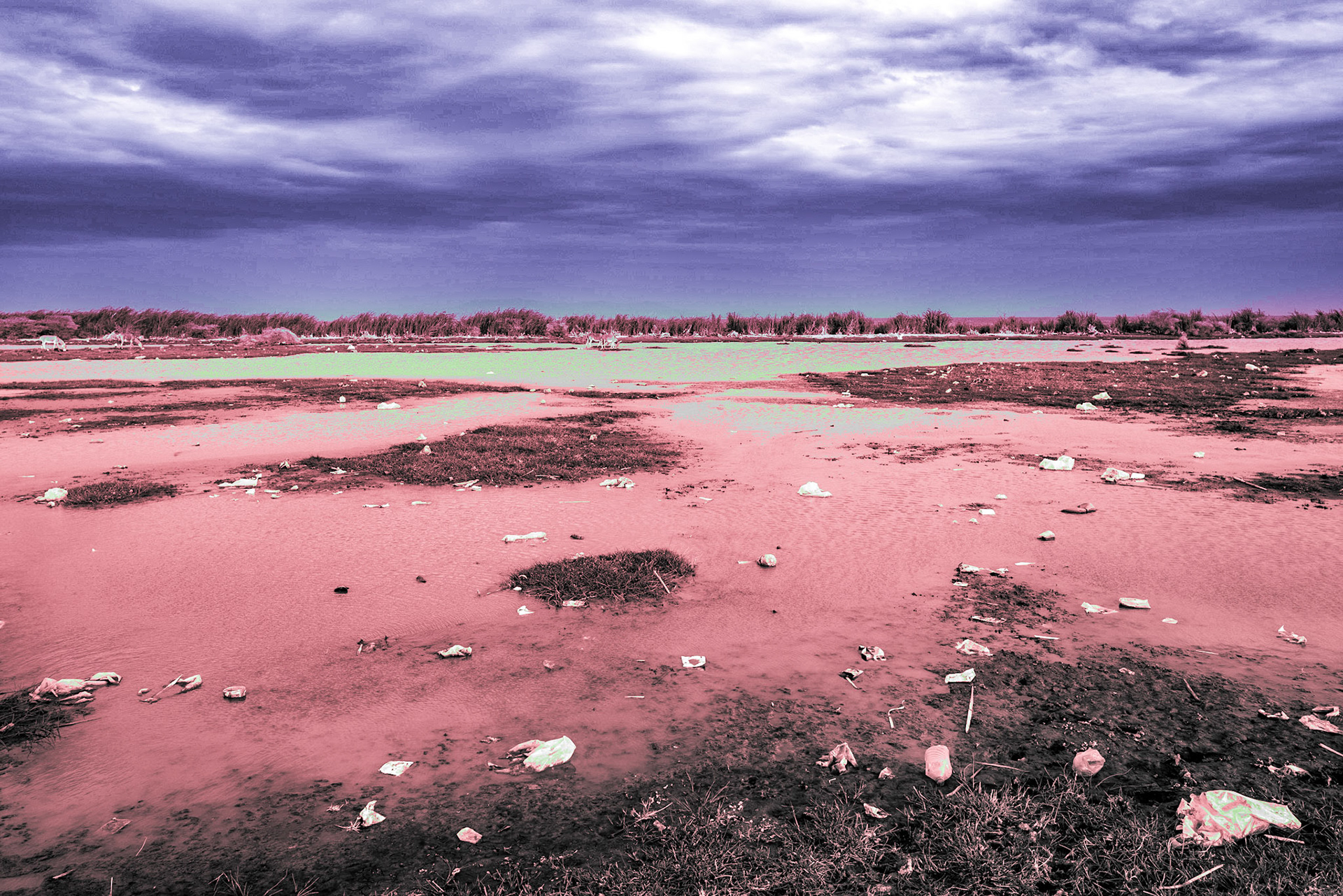 The northeast shore of Lake Turkana near a fishing village is littered with plastic bags, bottles, and other garbage. The expansion of the fishing industry has brought both economic growth and new challenges to the community.