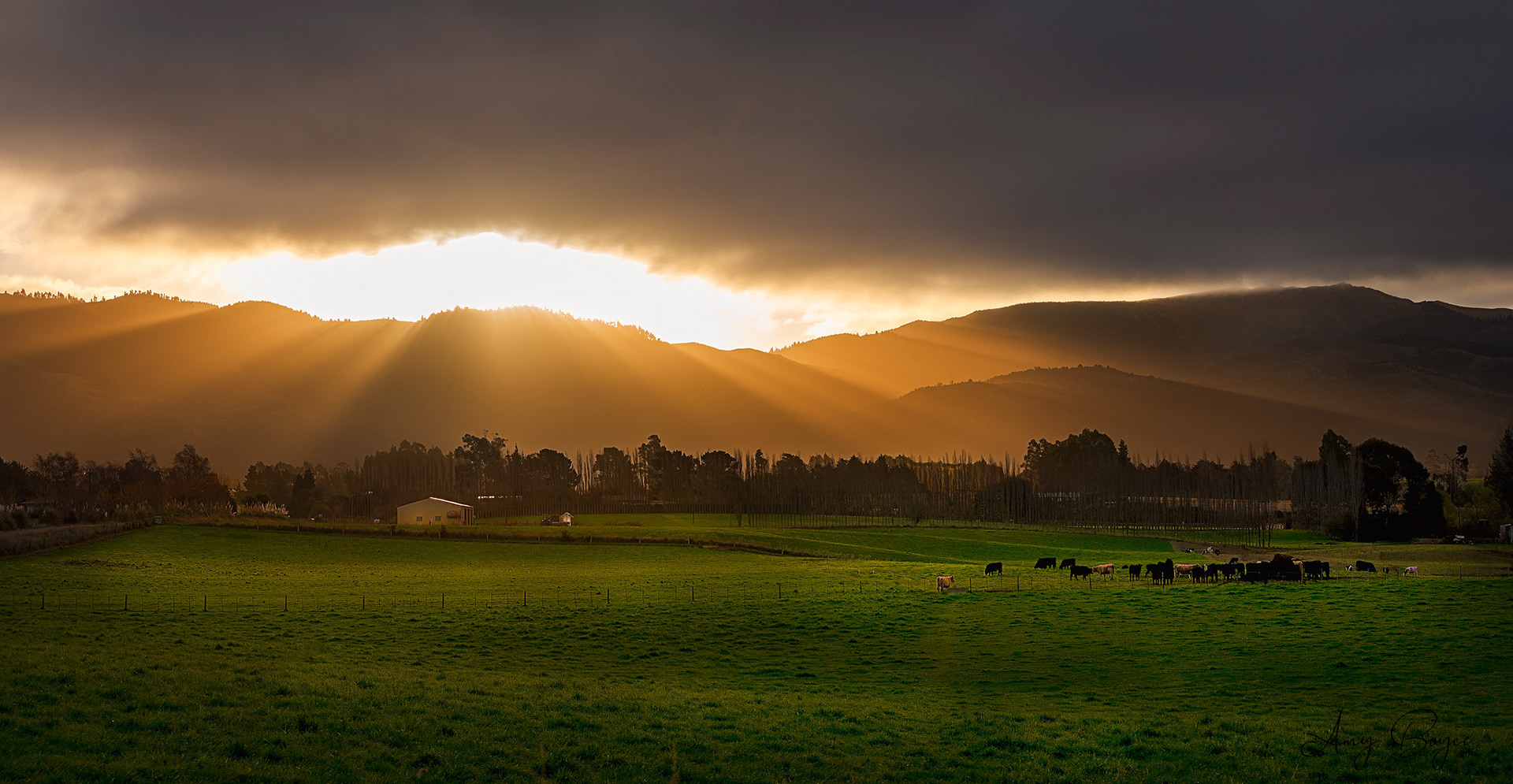 Waimate- South Island New Zealand (#L32)