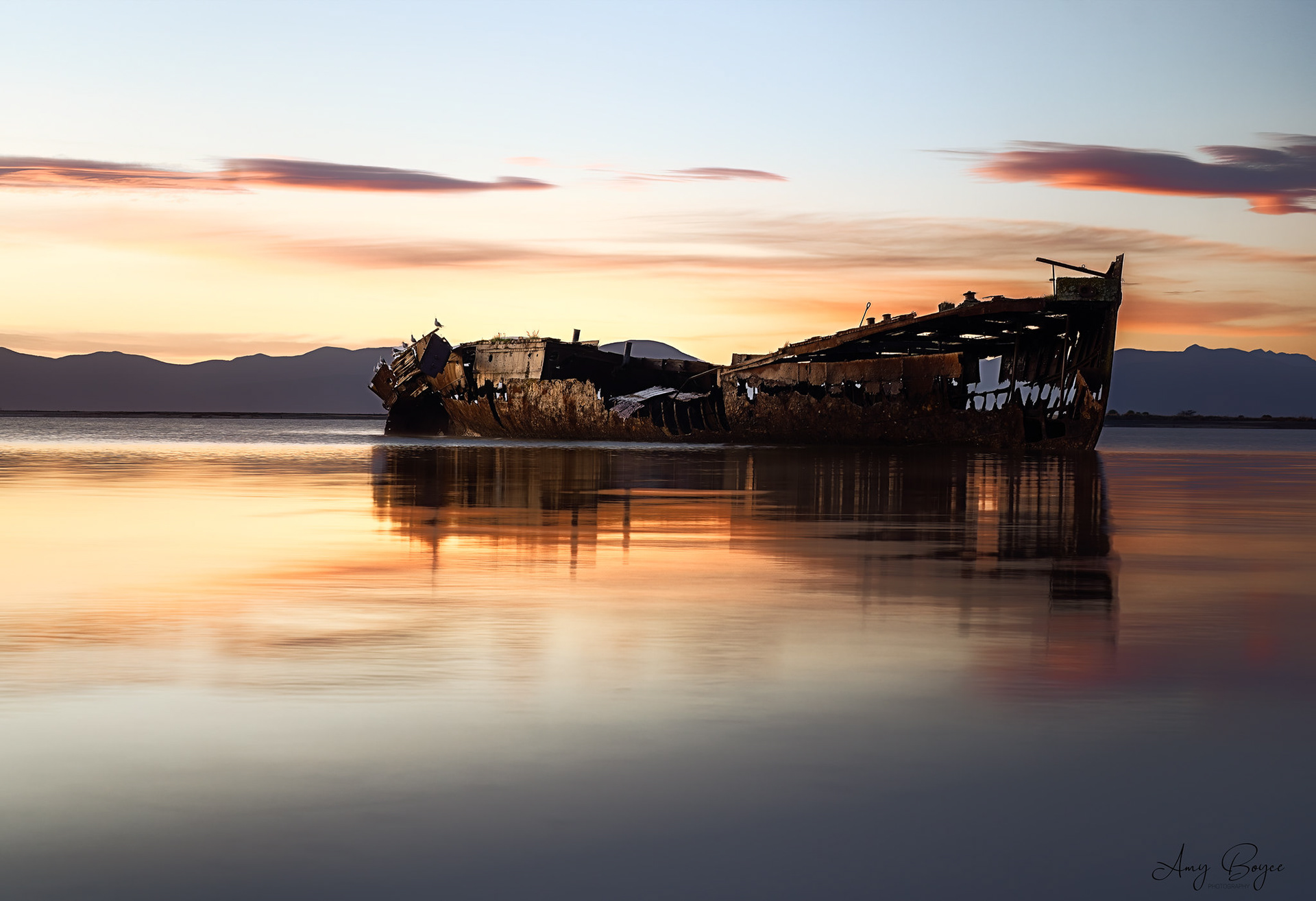 Janie Seddon Shipwreck - Motueke Nelson New Zealand (#L10)