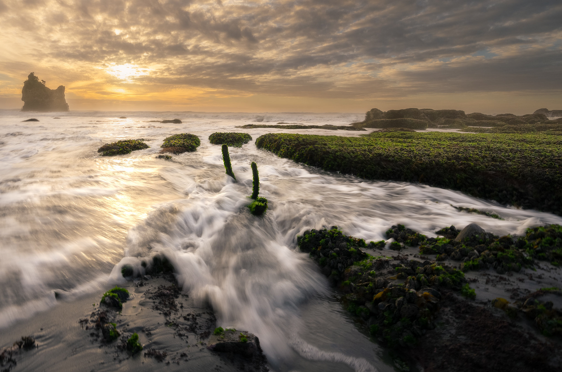 West Coast - South Island NZ (#L20)