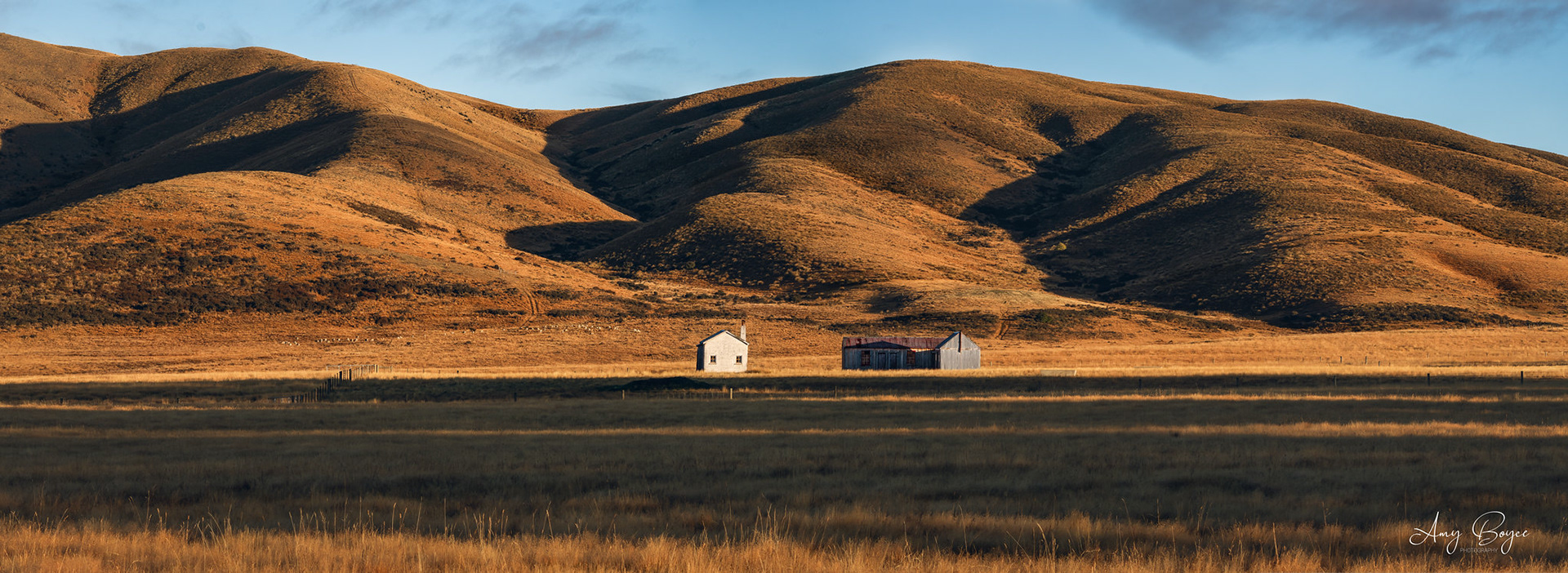 Maniototo -South Island (#L5)