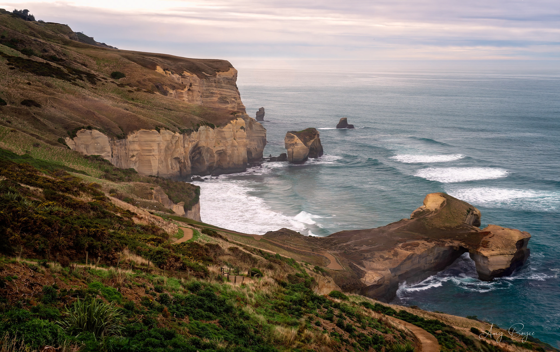 Tunnel Beach - Dunedin NZ (#L1)