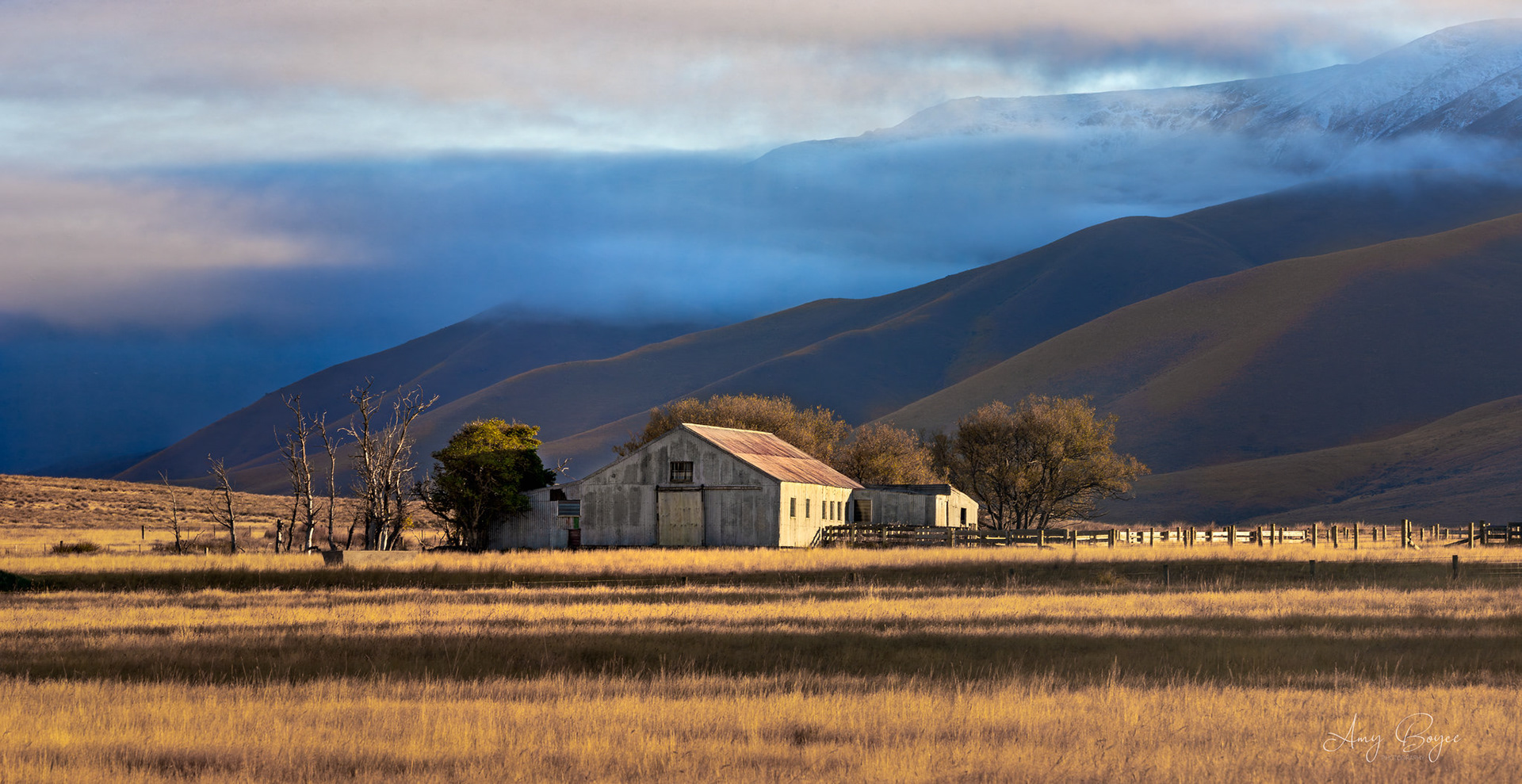 Maniototo -South Island (#L4)