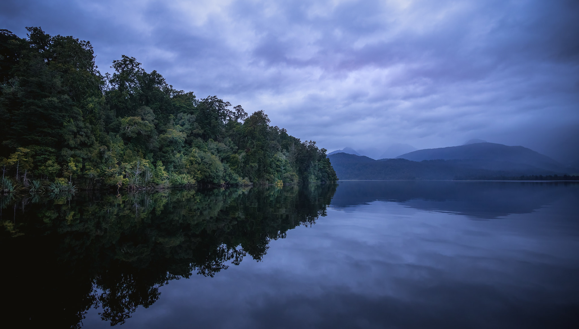 Lake Mapourika, Franz Josef - South ISland NZ (#L26)