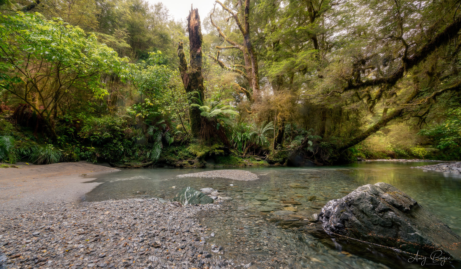 Pleasant Flat - Haast -NZ (#L11)