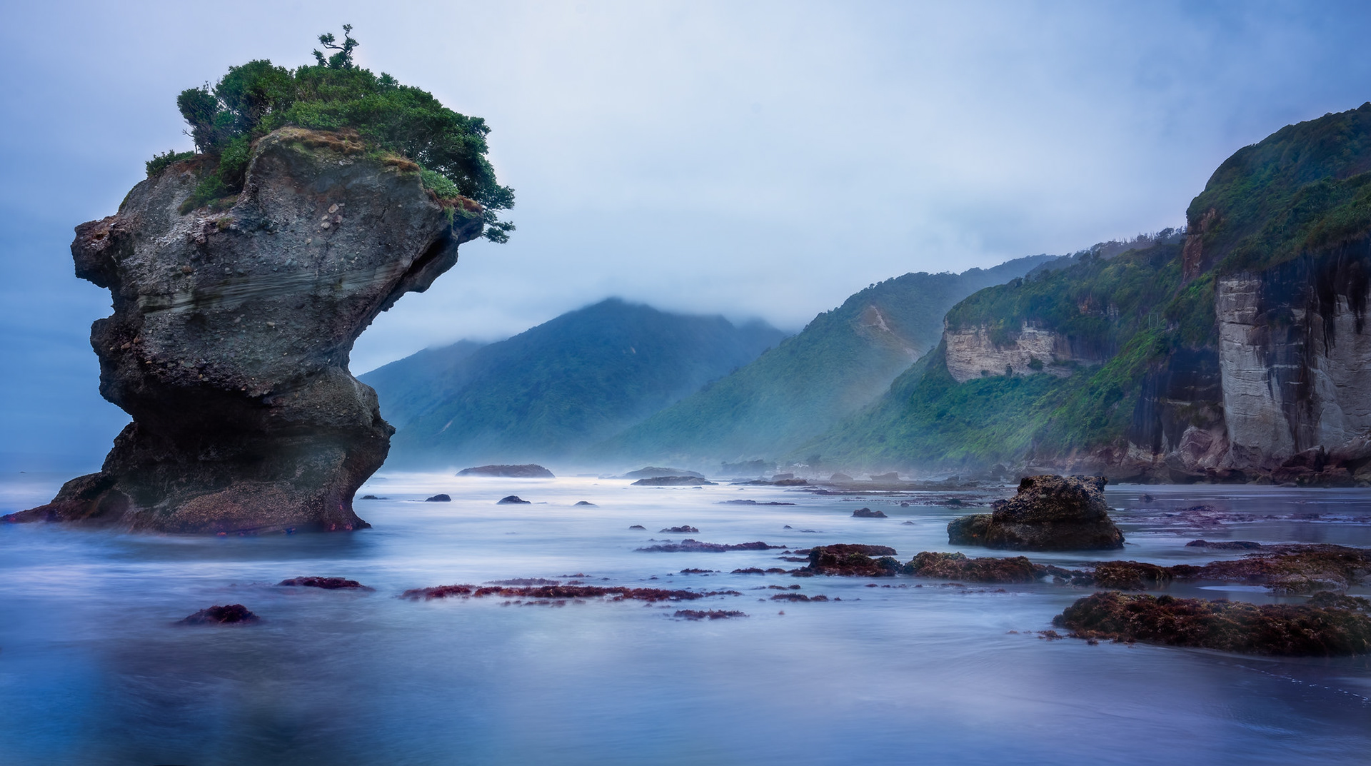Motukiekie Beach - South Island NZ (#L22)
