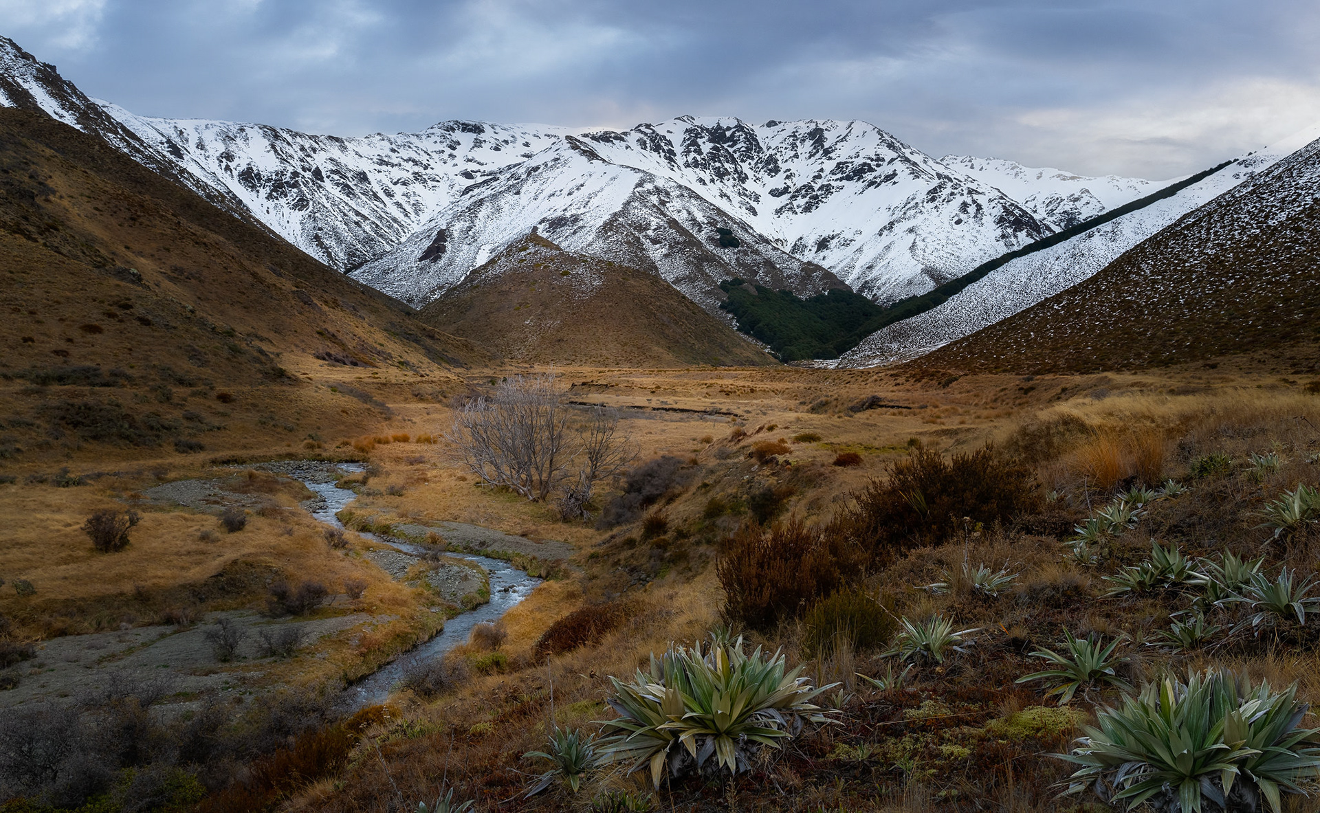 Lake Tennyson - South Island NZ (#L16)