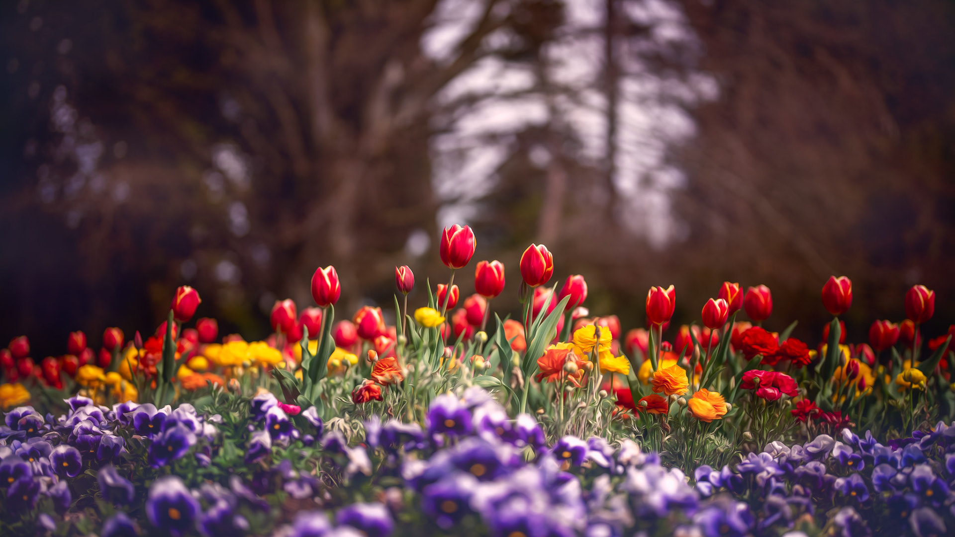 Gardens (#M22)