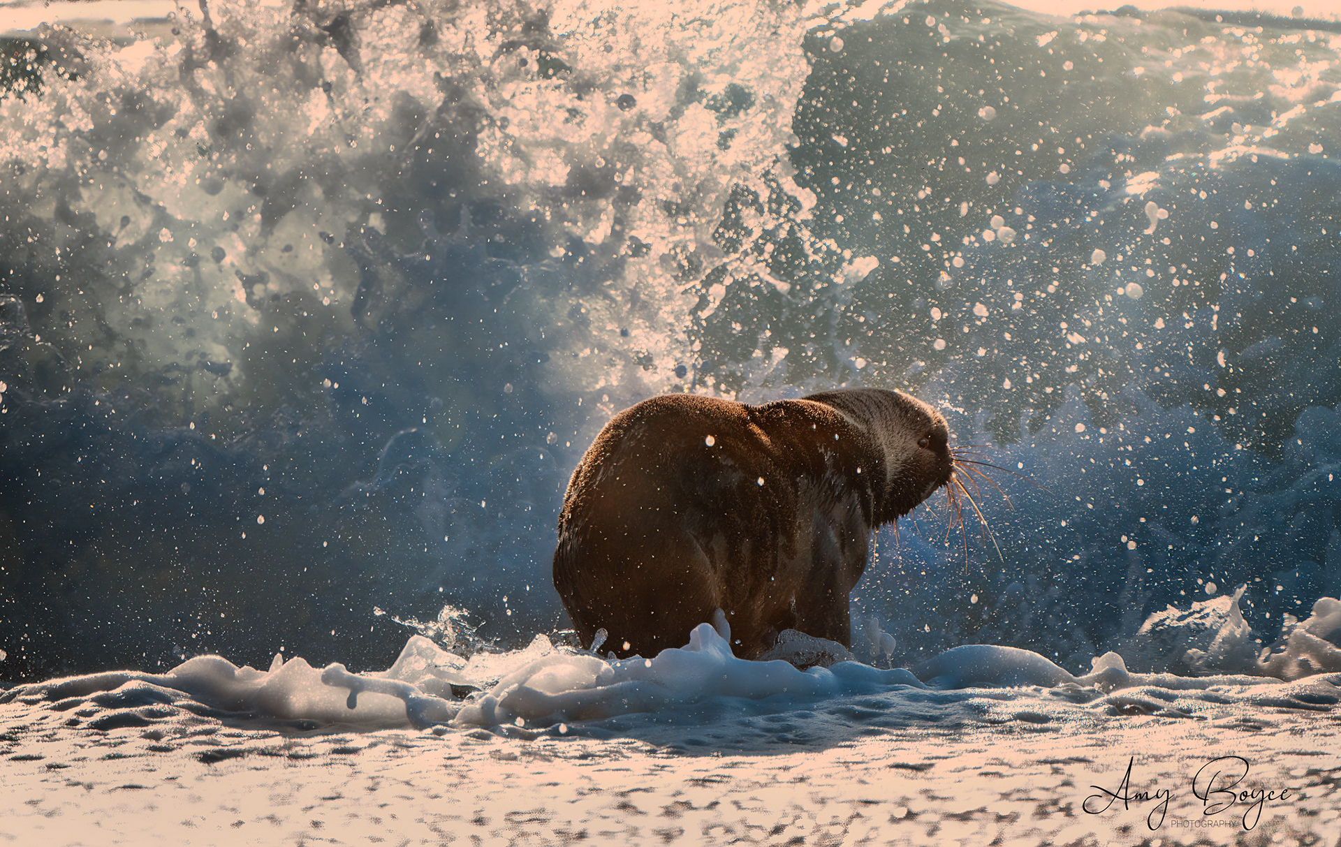 First splash (#W6)