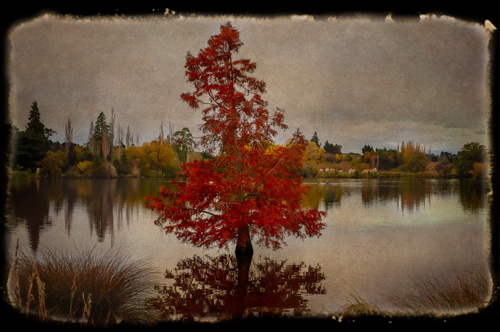 St Annes Lagoon - South Island NZ (#L17)