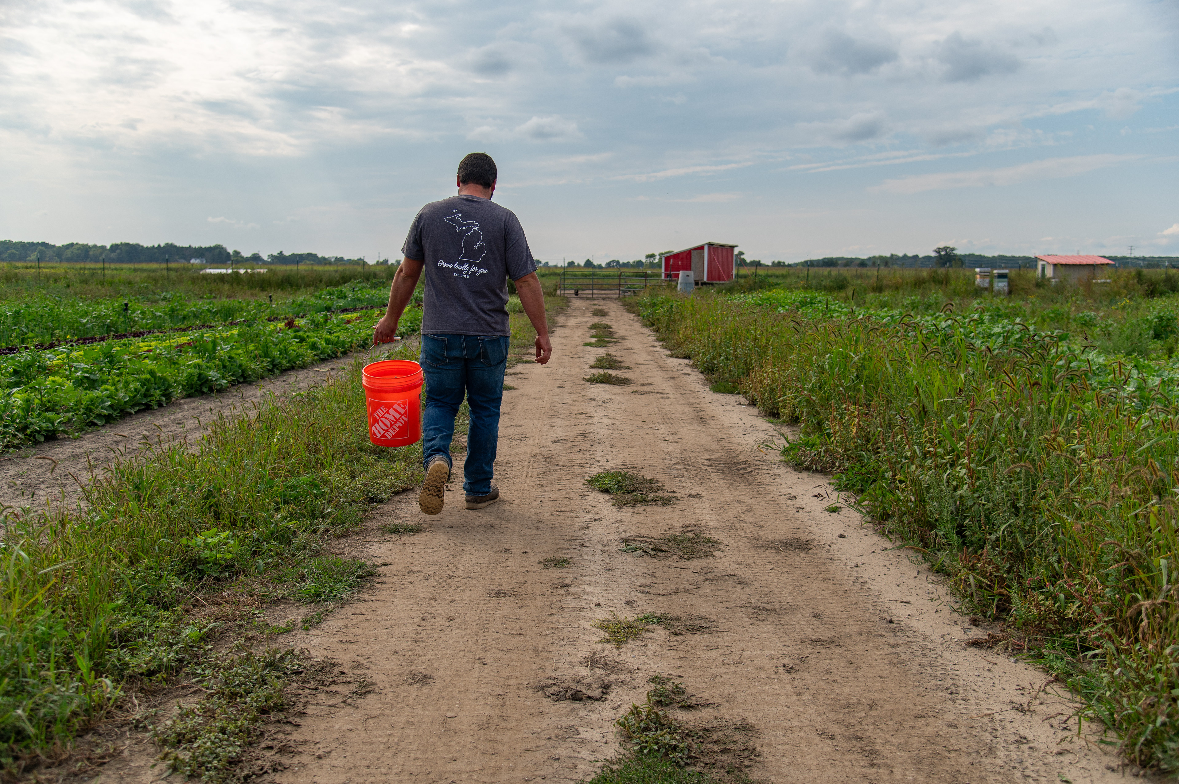 Tyler Shepherd walks to his coop to harvest eggs at his farm, 1673 Pruess Road, Hemlock, Michigan, Sunday, September 17, 2023. Shepherd likes being his own boss. “I enjoy what I do because it’s not really work,” Shepherd said.