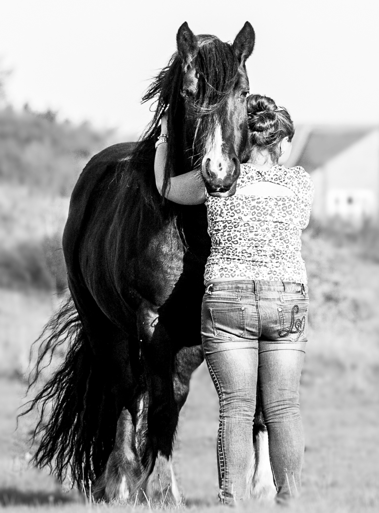 Equestrian Lifestyle 