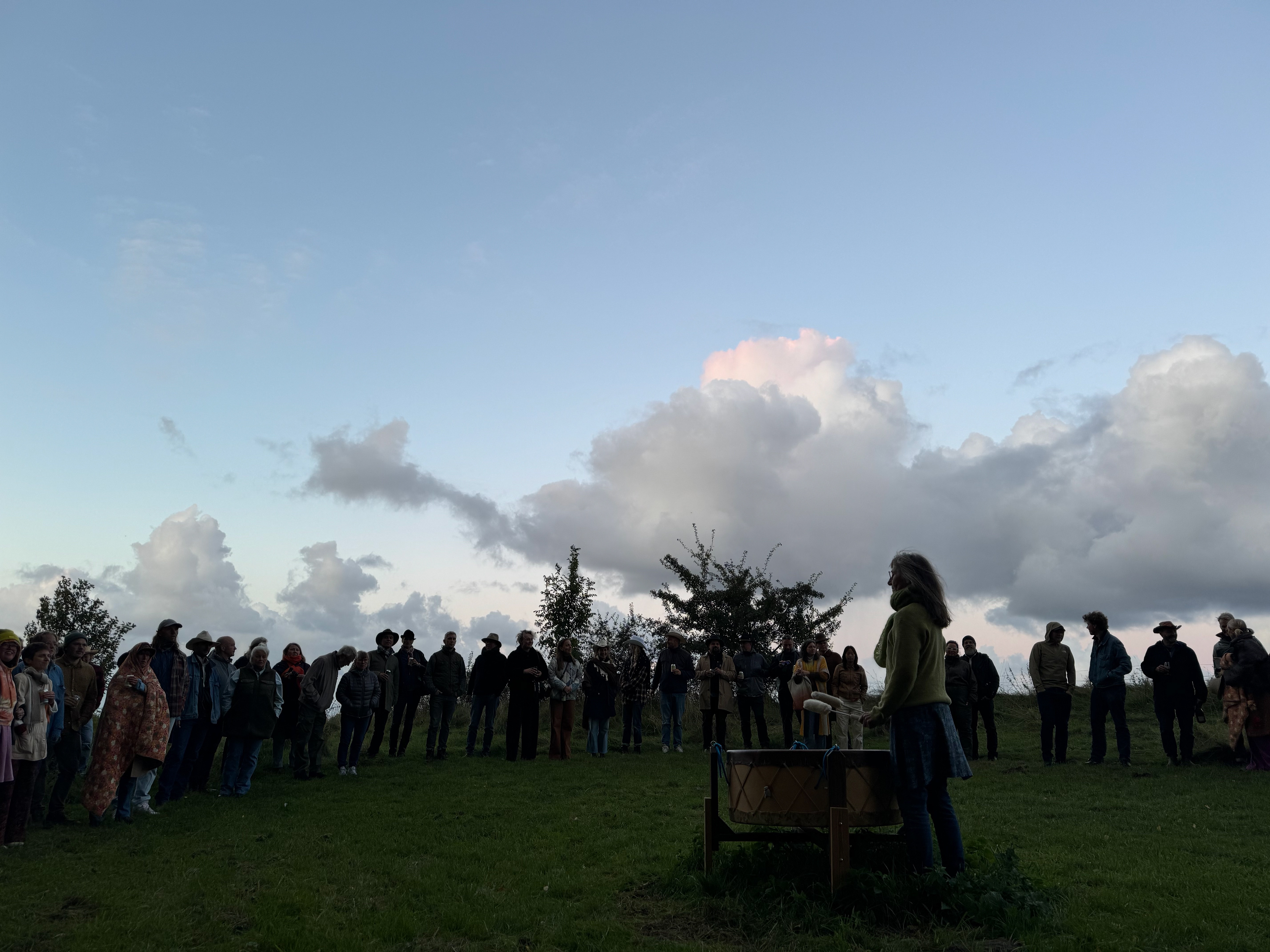 Vildkatten / Elisabeth Dyrmose