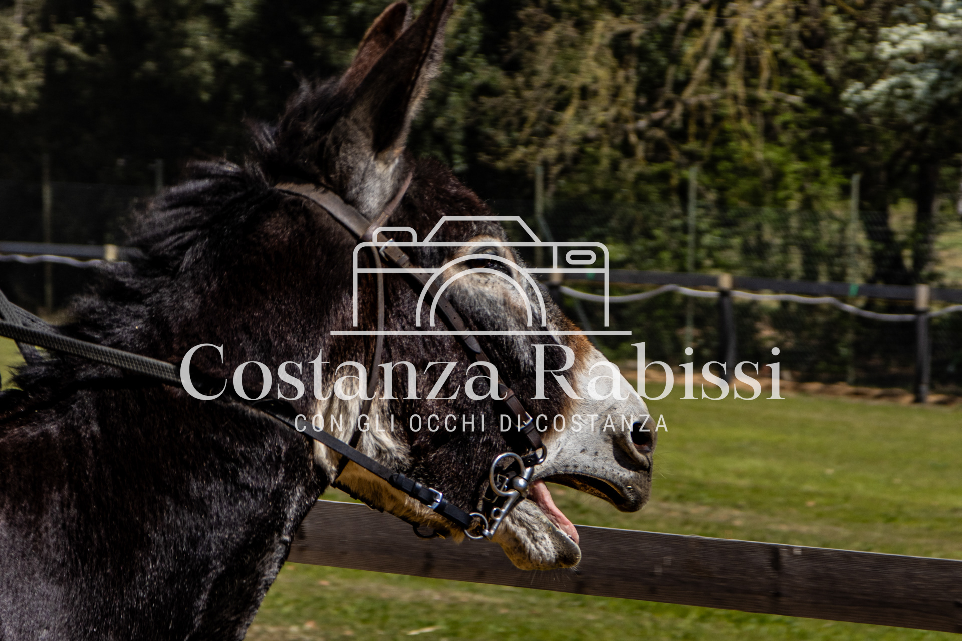 Meeting on the hills - 123