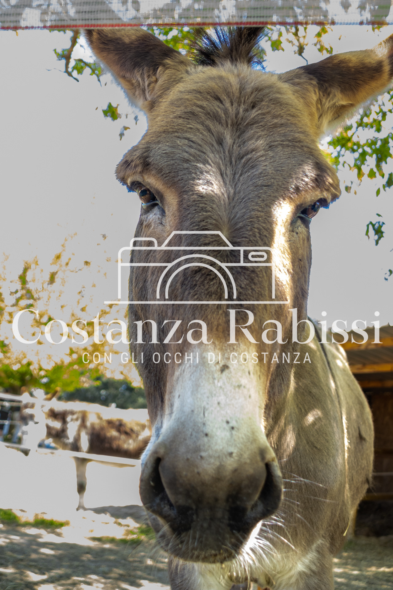 Meeting on the hills - 10