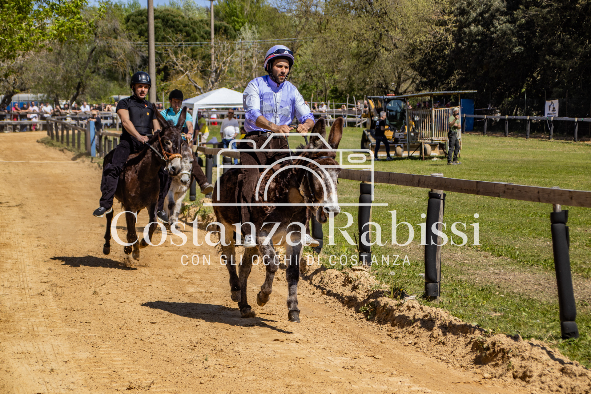 Meeting on the hills - 32