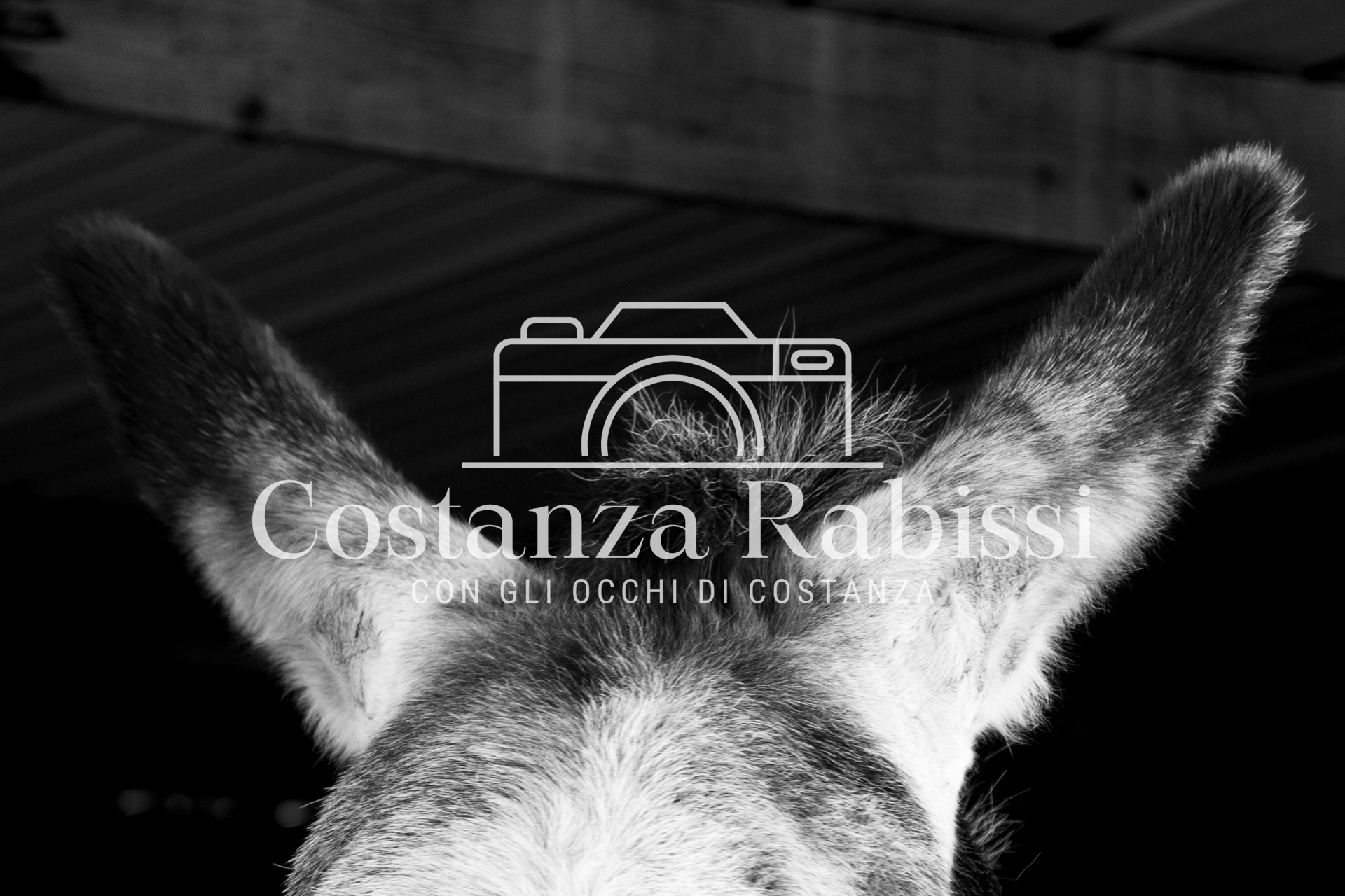 Meeting on the hills - 5