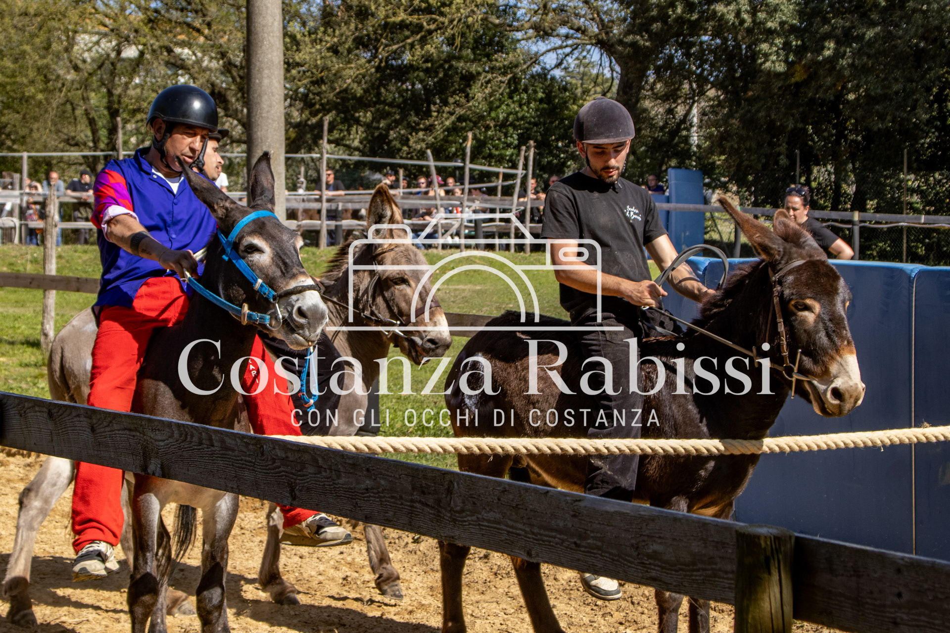 Meeting on the hills - 173