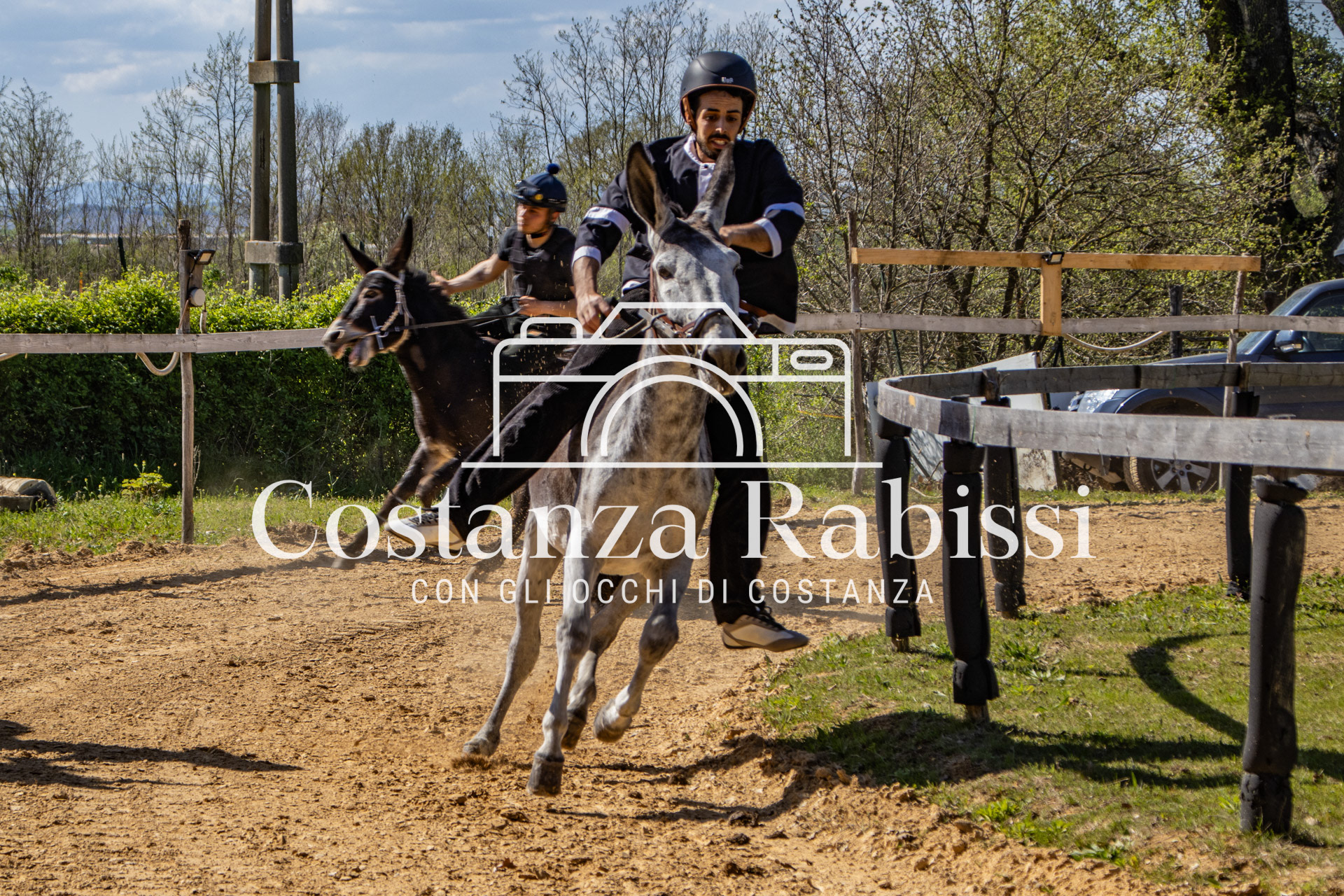 Meeting on the hills - 151