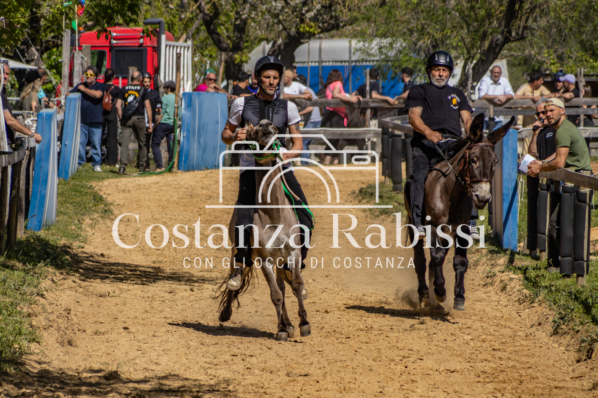 Meeting on the hills - 90