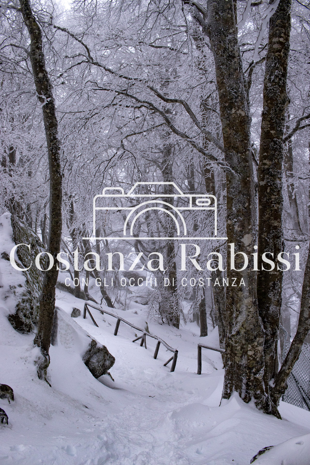 AMIATA INVERNO 26 - 21