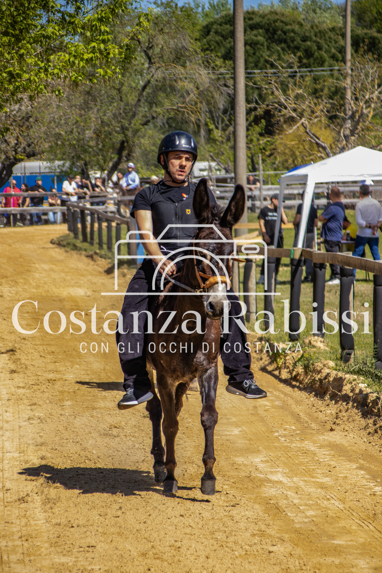 Meeting on the hills - 25