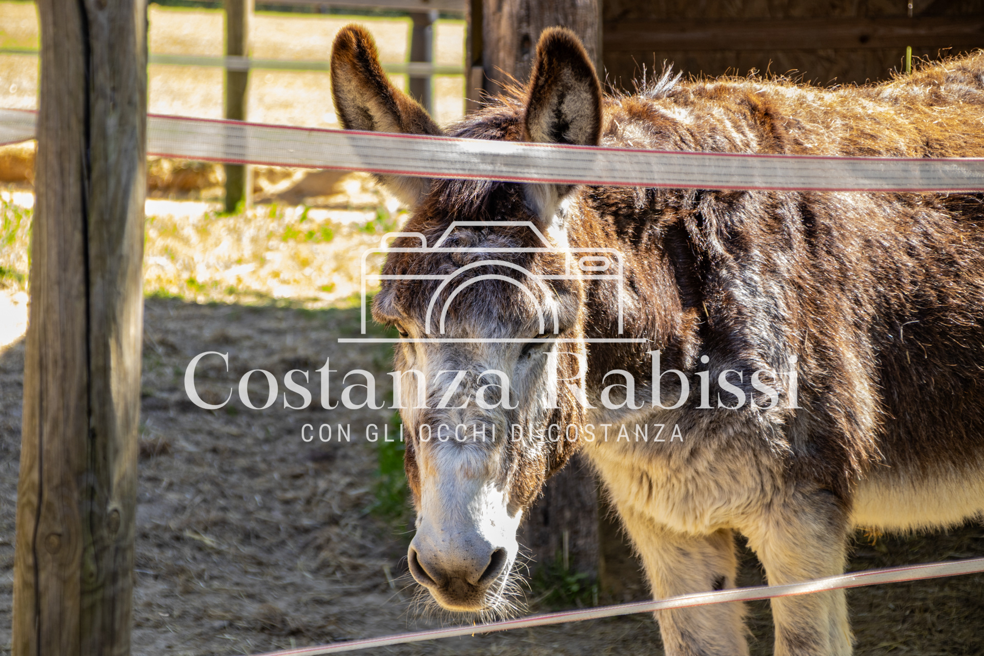 Meeting on the hills - 13