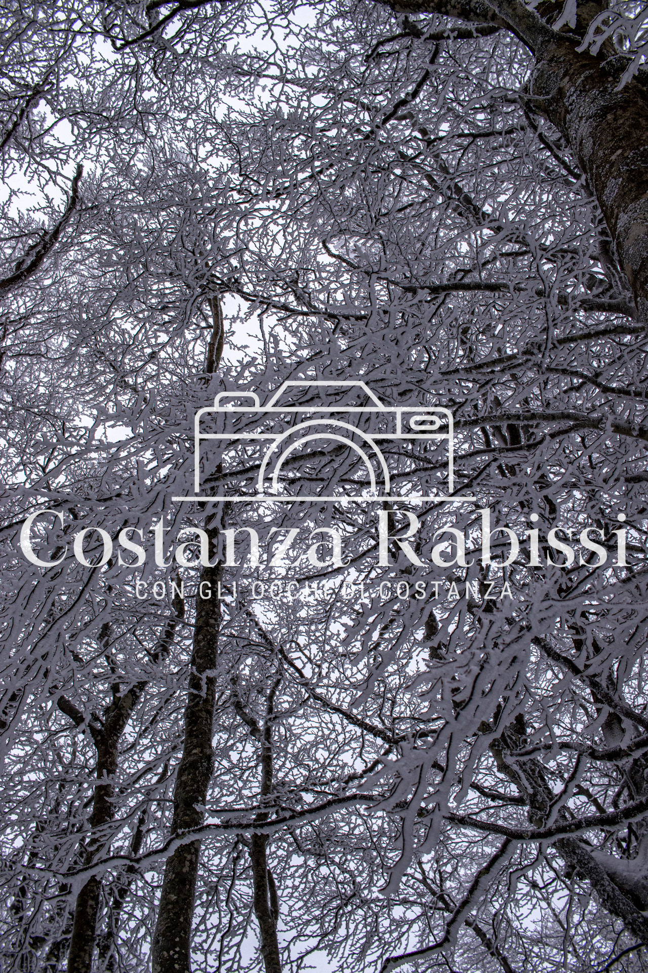 AMIATA INVERNO 26 - 22