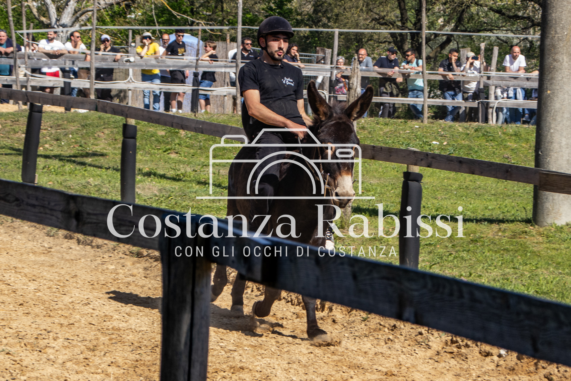 Meeting on the hills - 180