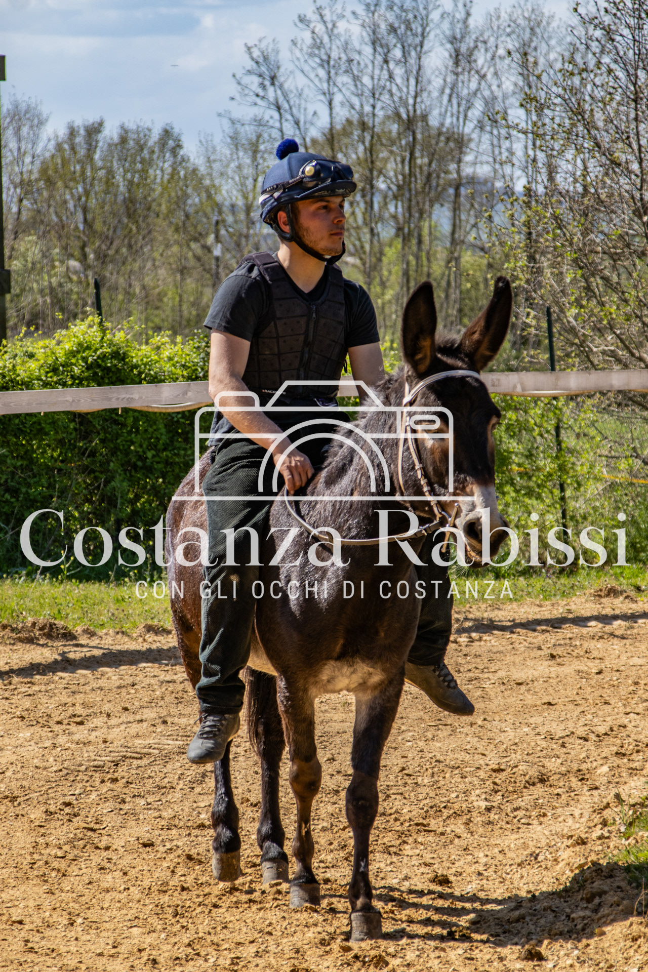 Meeting on the hills - 137