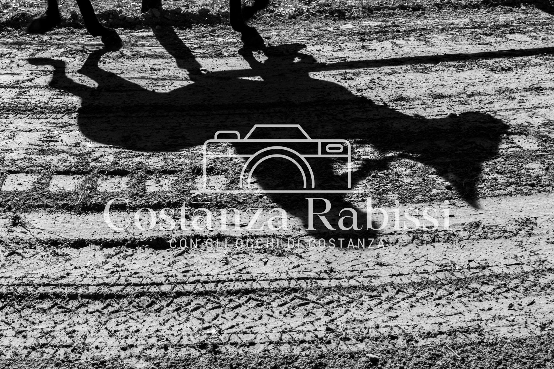 Meeting on the hills - 194