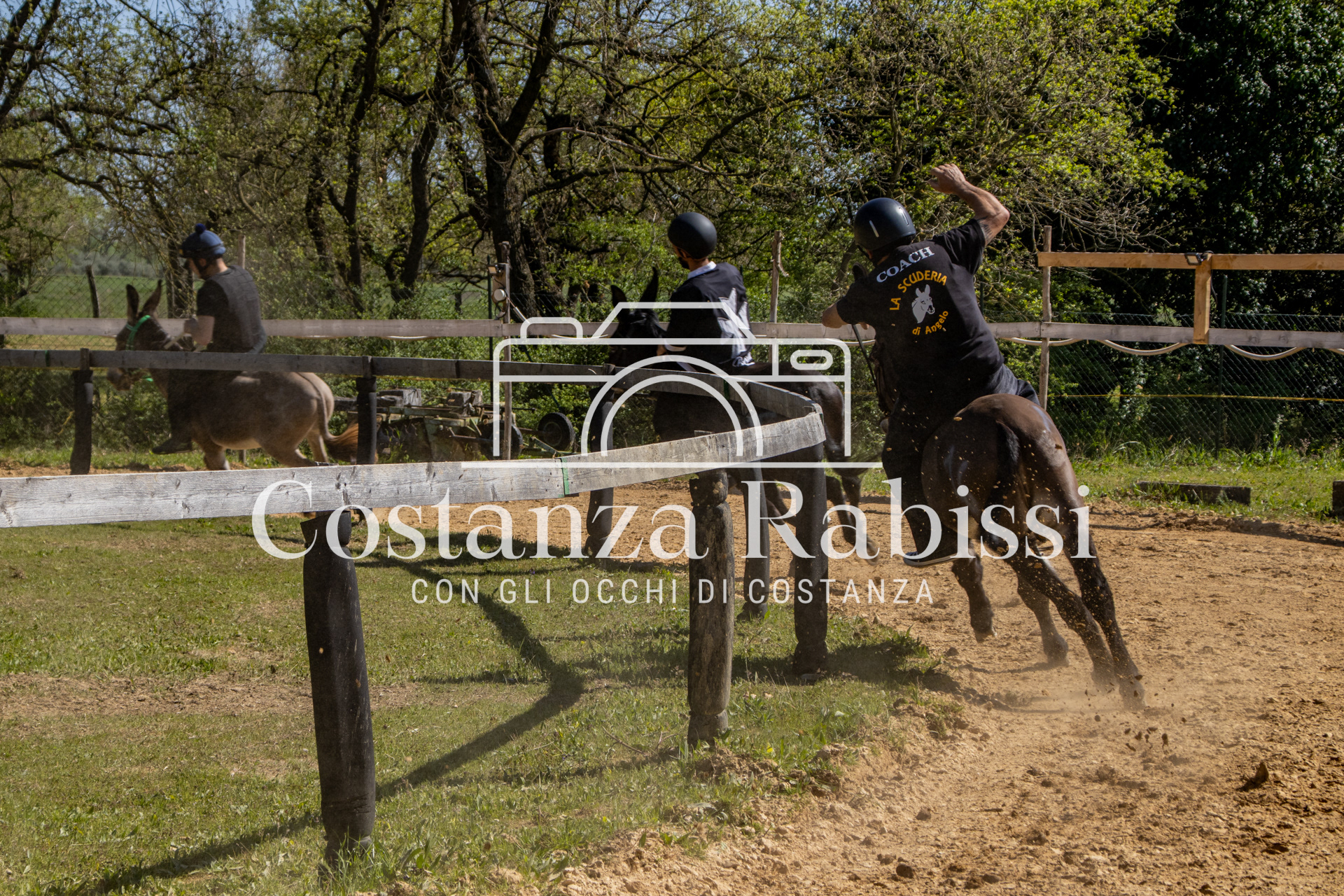 Meeting on the hills - 131