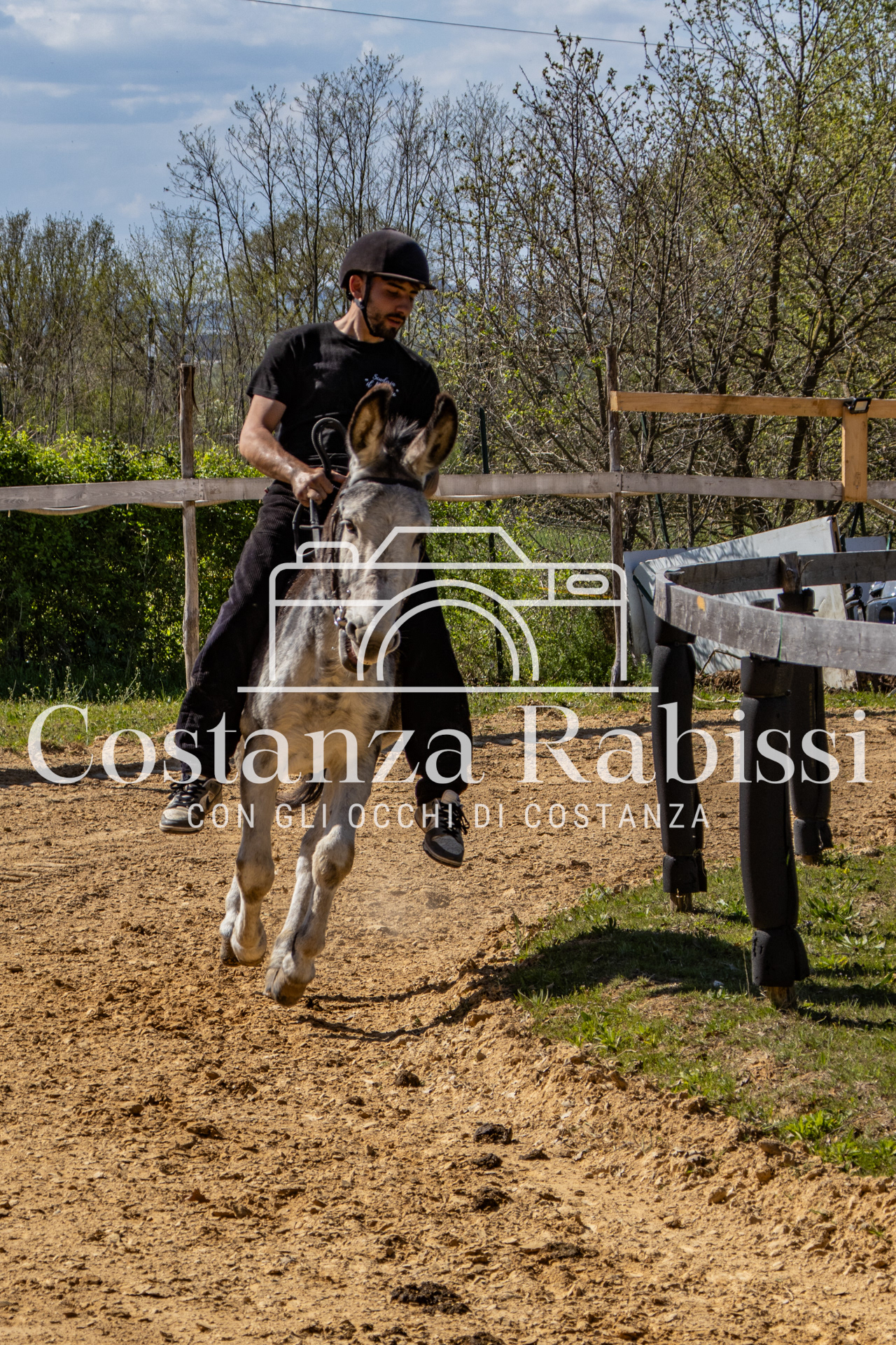 Meeting on the hills - 145