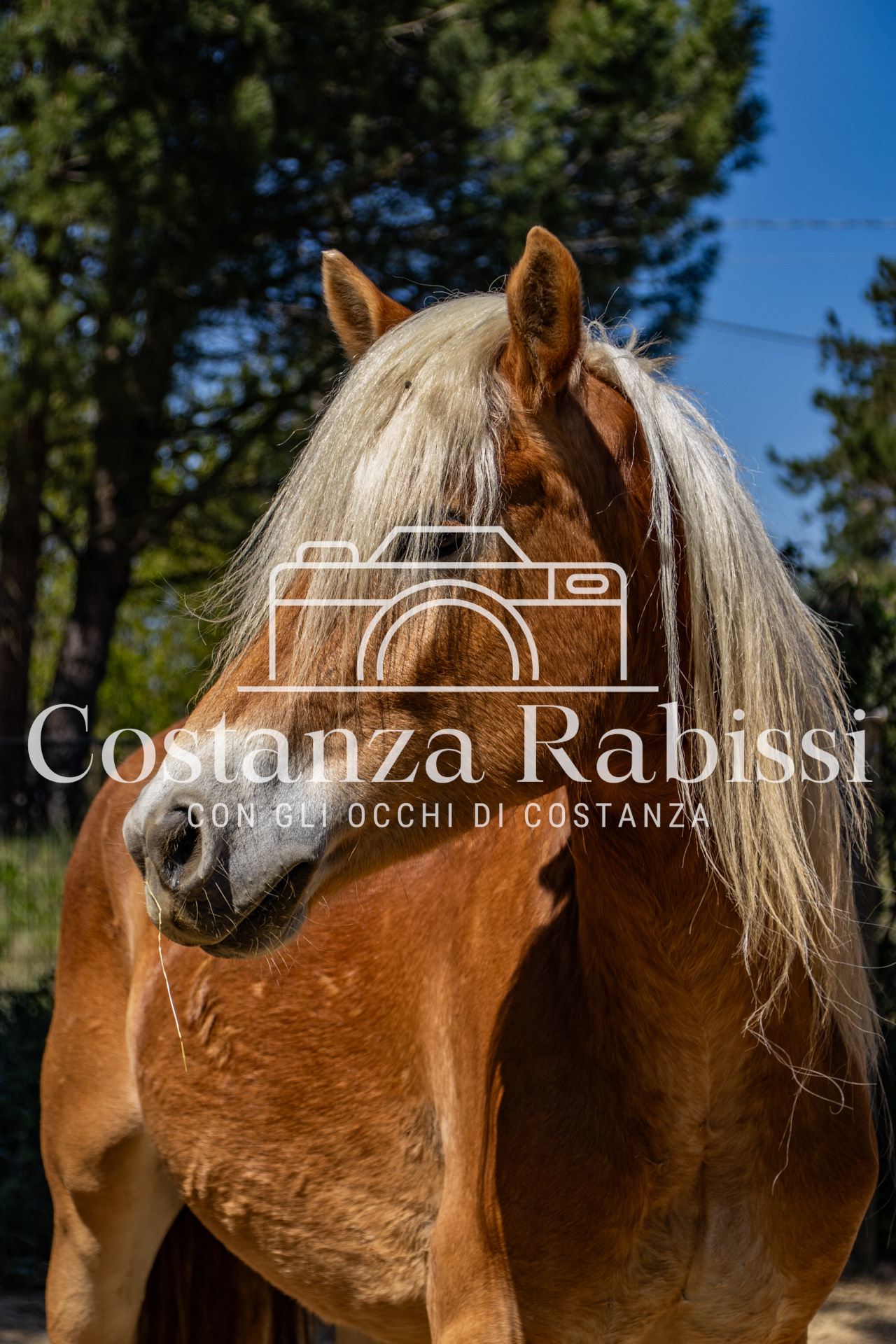 Meeting on the hills - 1