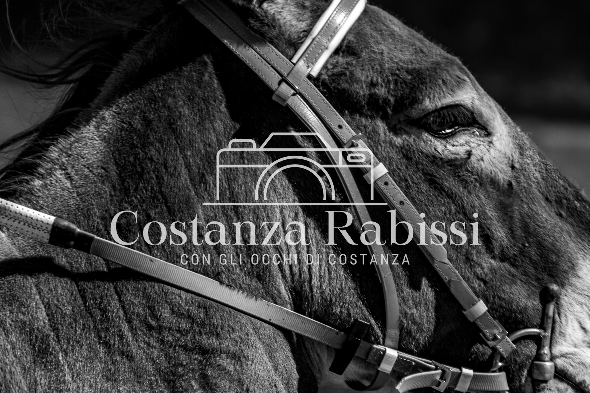 Meeting on the hills - 114