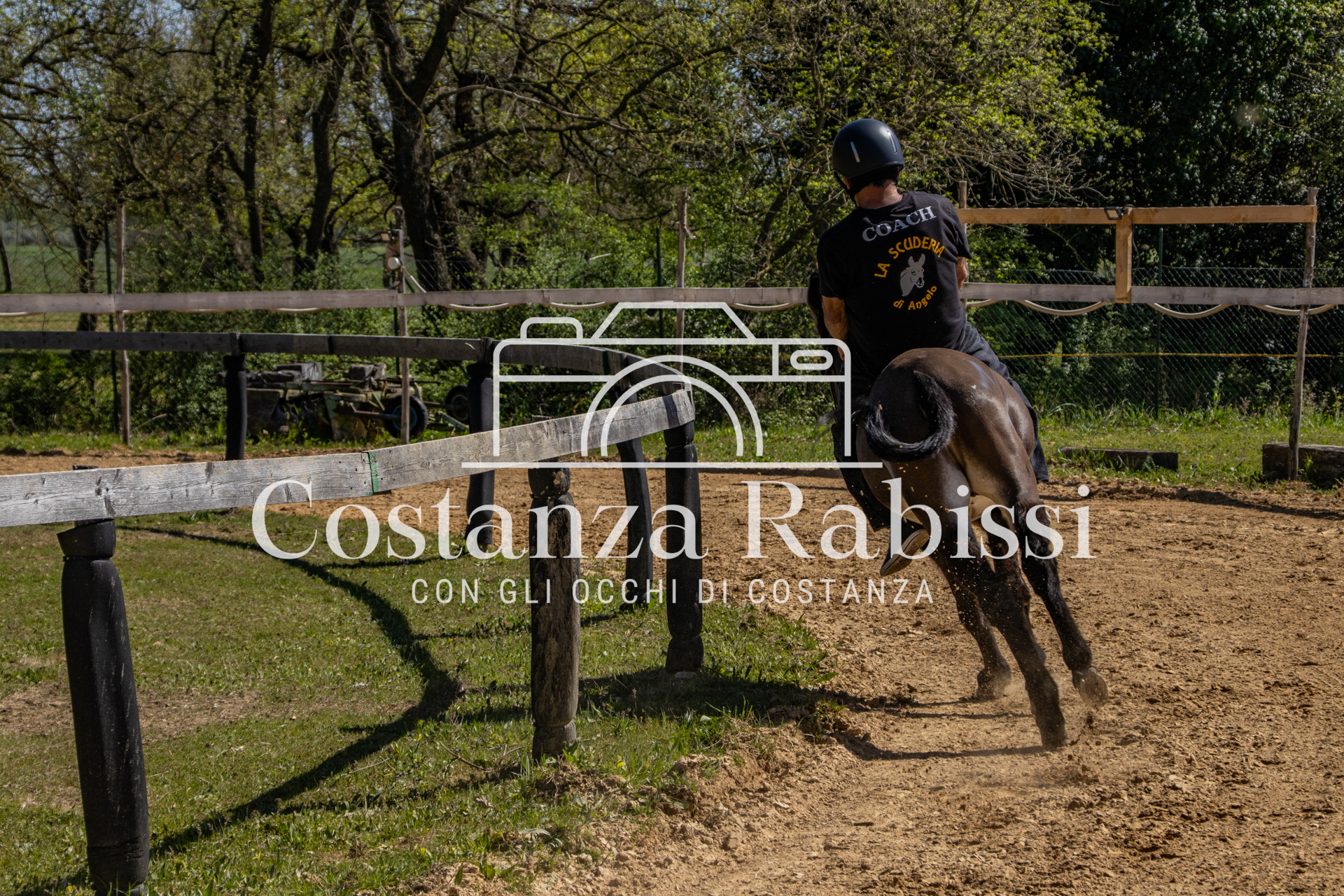 Meeting on the hills - 91