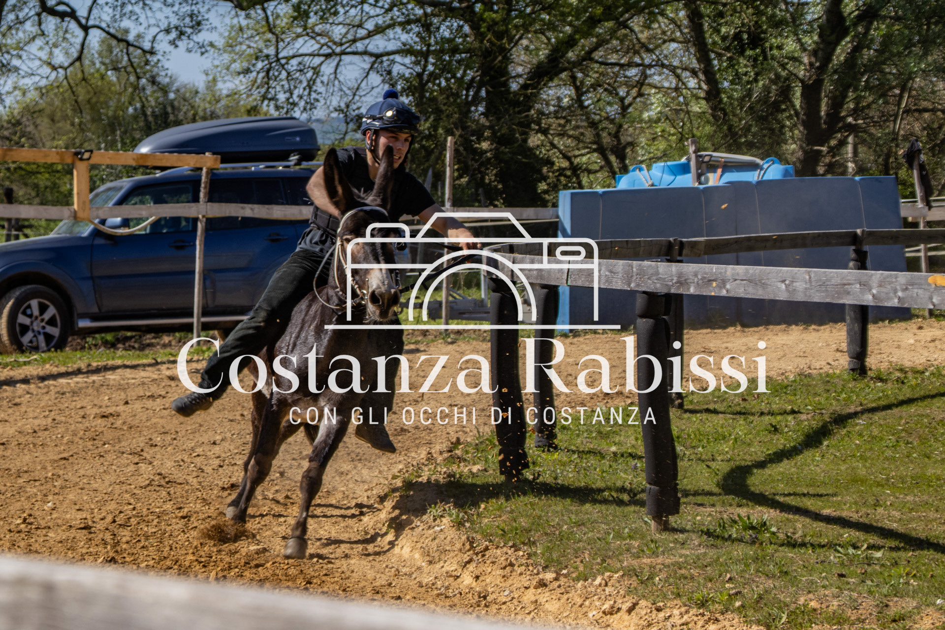 Meeting on the hills - 157