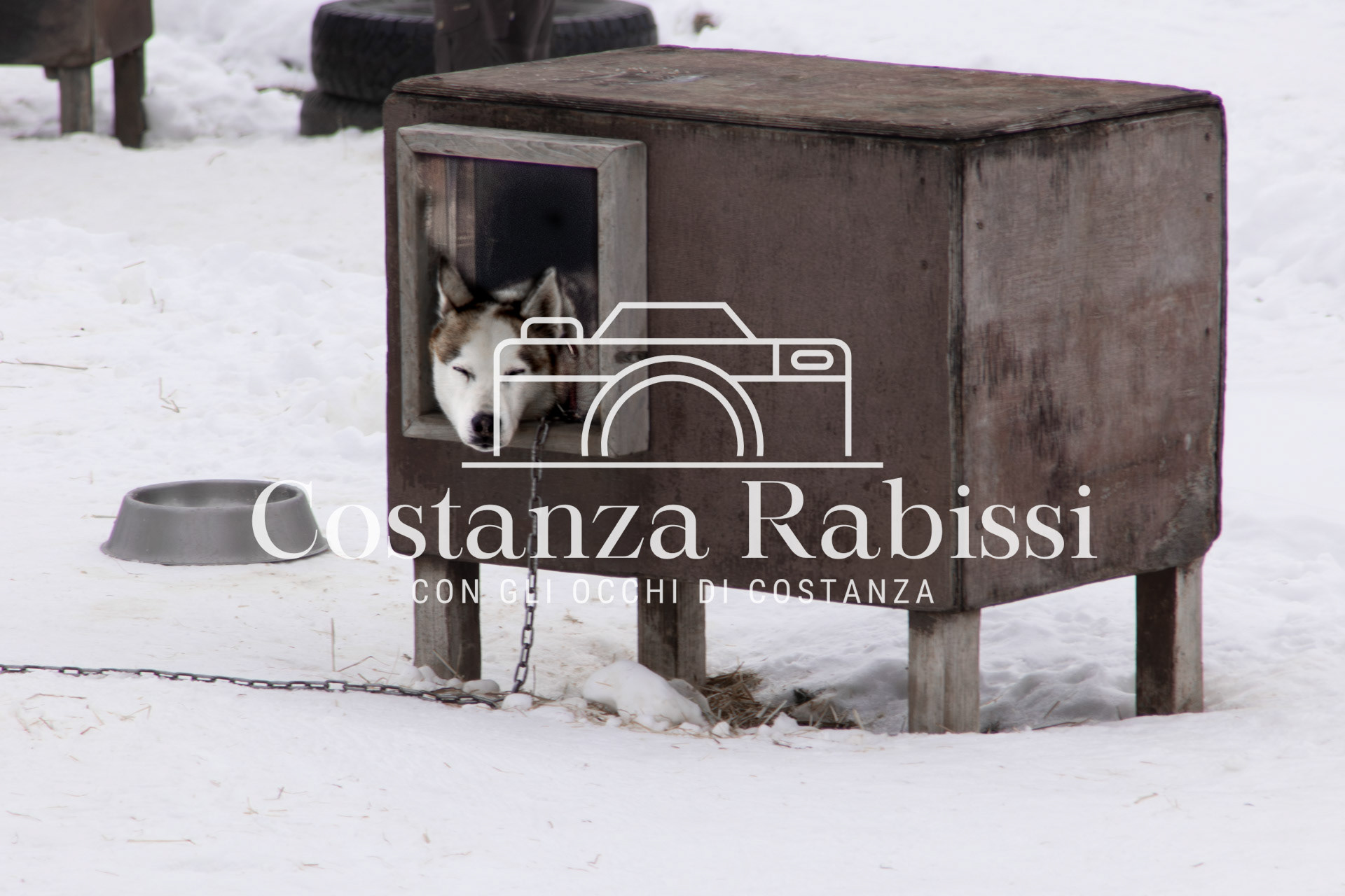 TONALE INVERNO 25 - 72