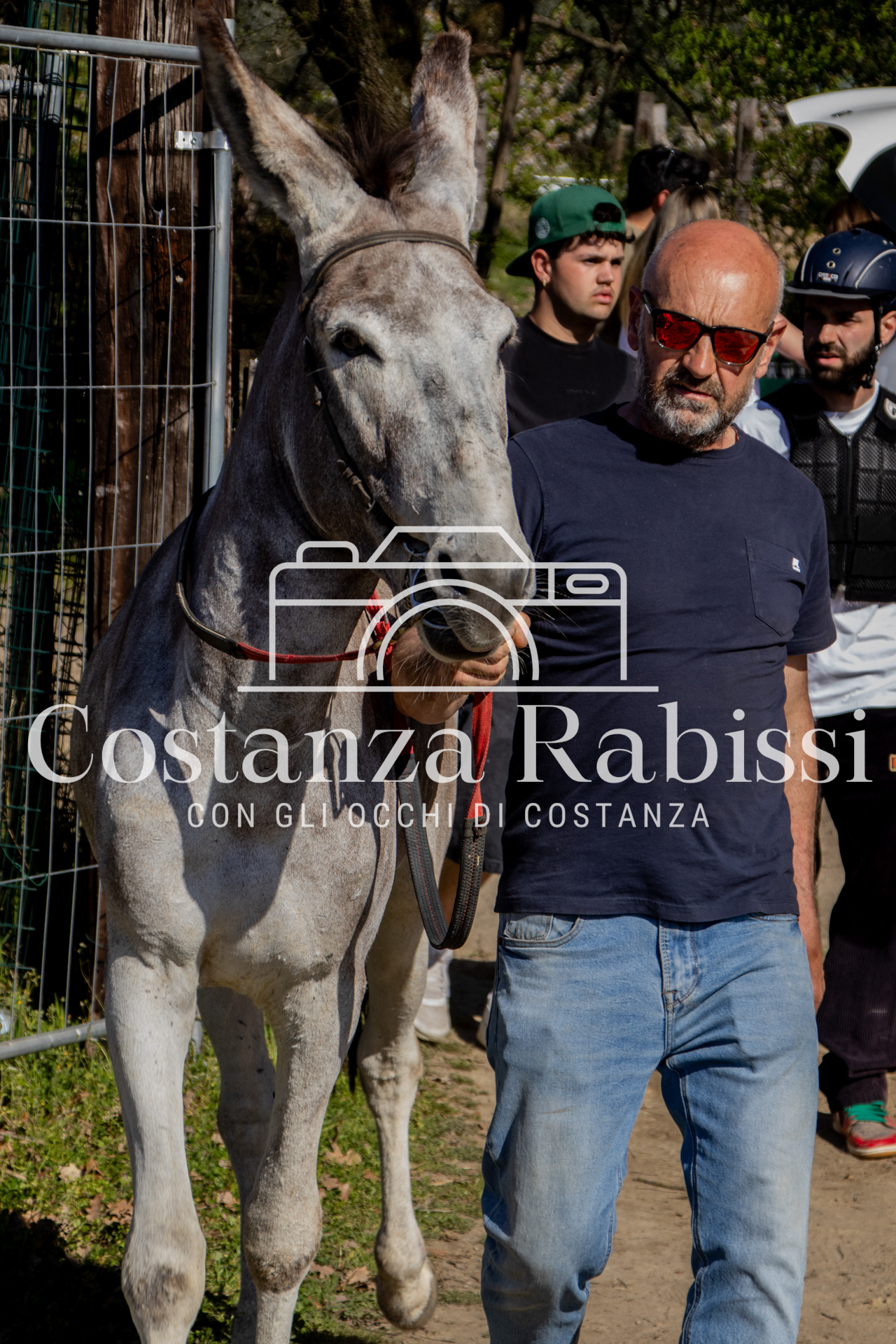 Meeting on the hills - 201