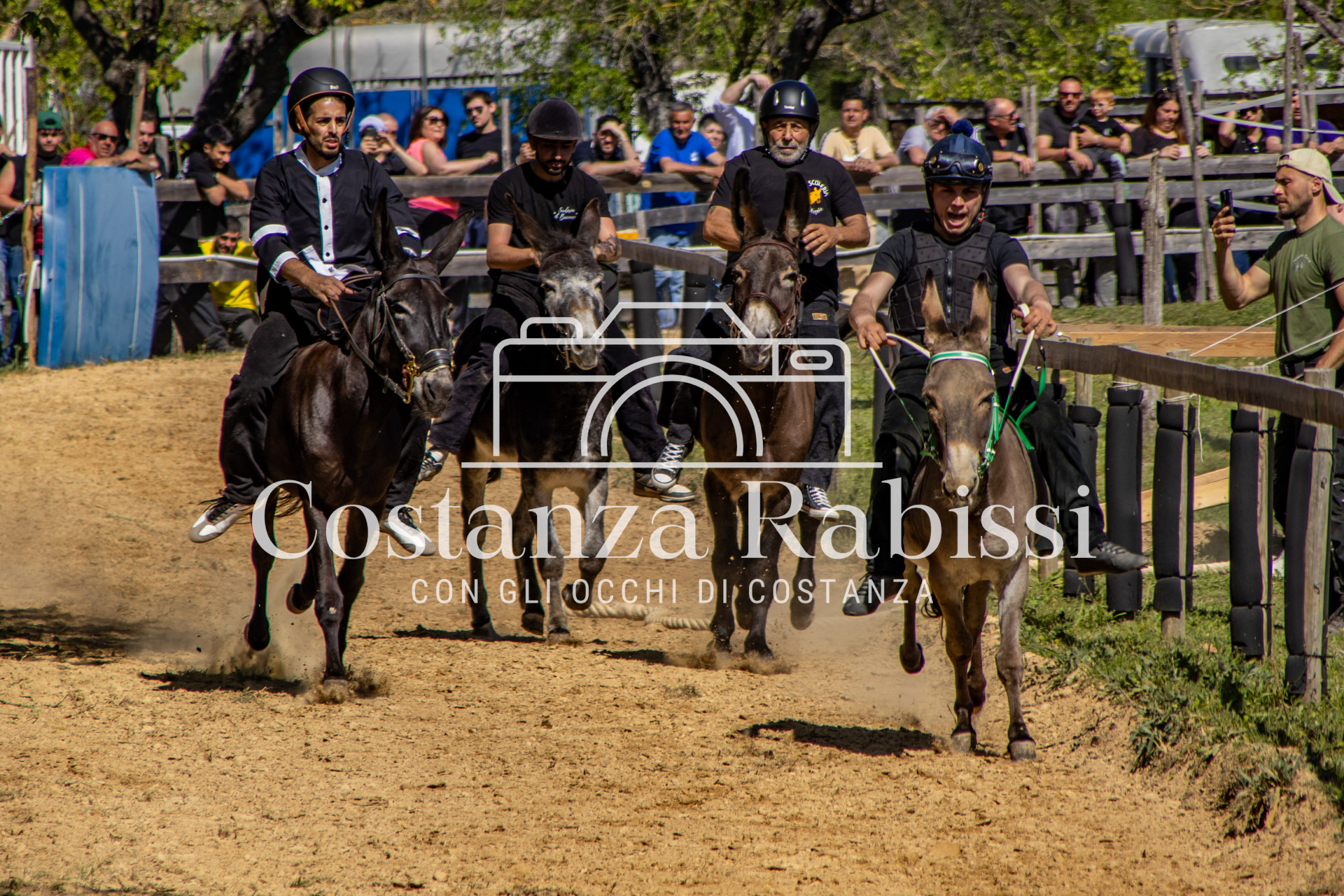 Meeting on the hills - 128